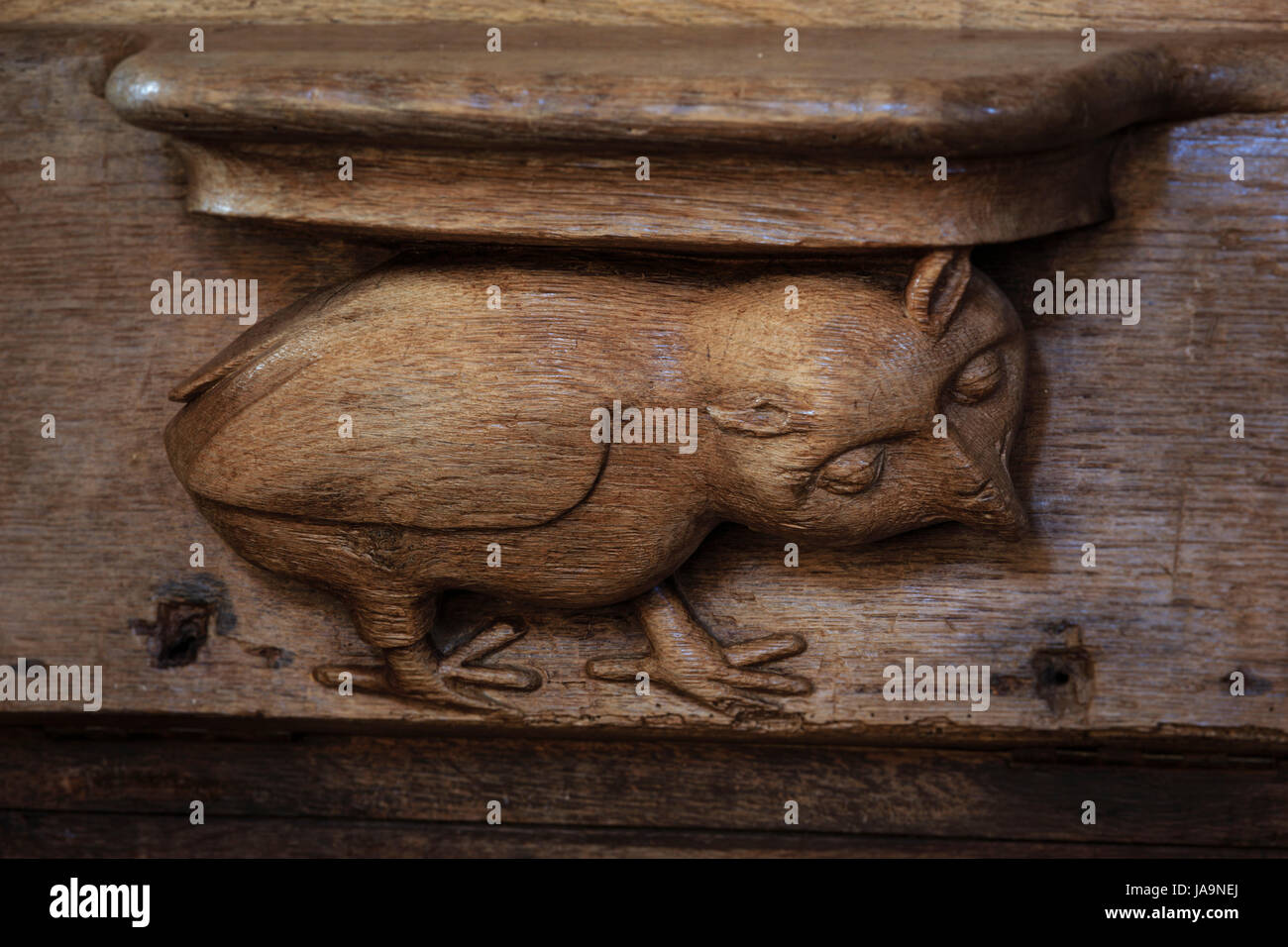 France, Haute Vienne, Mortemart, labelled Les Plus Beaux Villages de France, church of the Convent of the Augustin, carved stalls, detail Stock Photo
