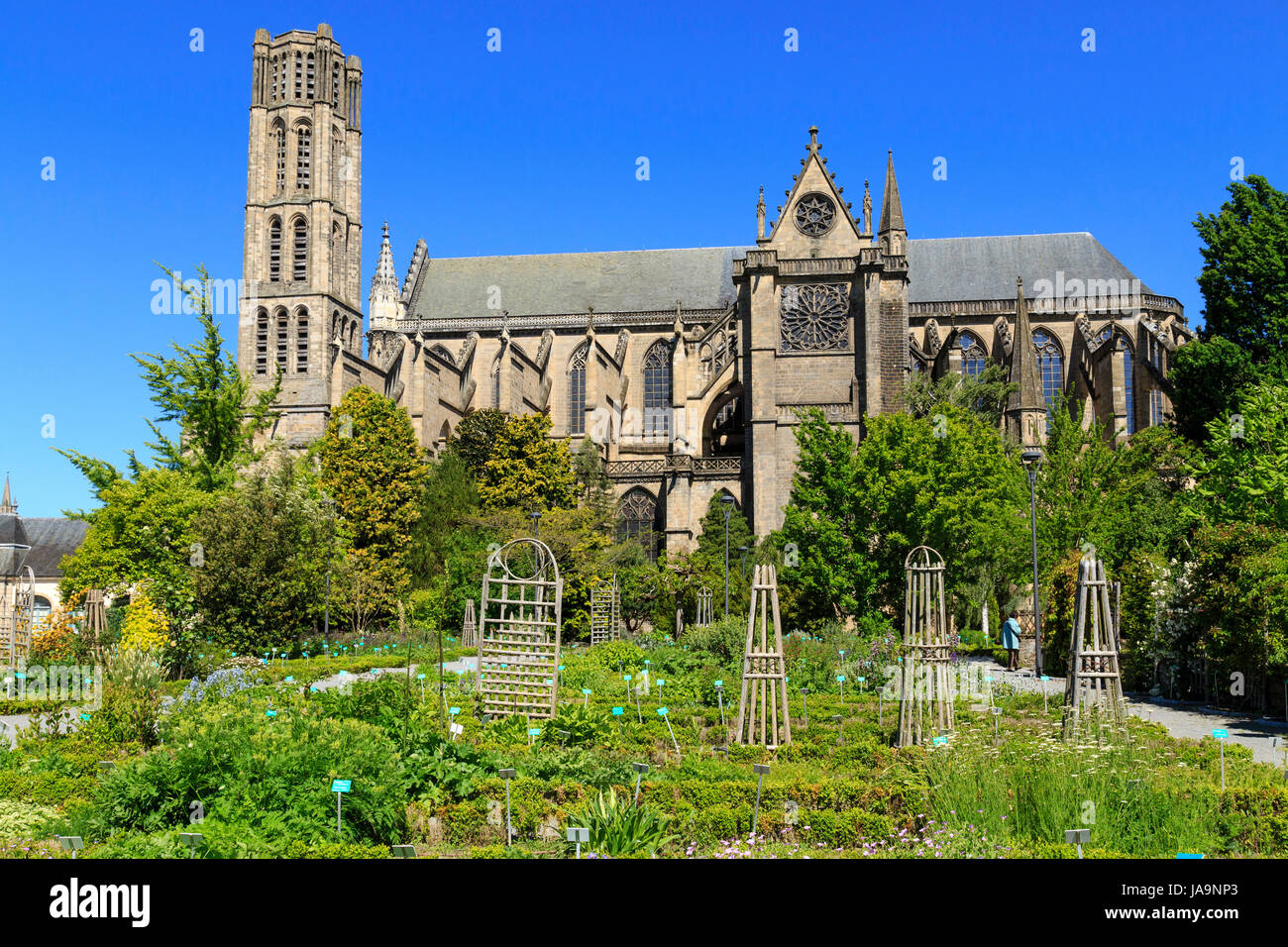 France, Haute Vienne, Limoges, the Jardin botanique de l'Eveche (Botanical Garden of the Bishopric) and the Saint Etienne cathedrale Stock Photo