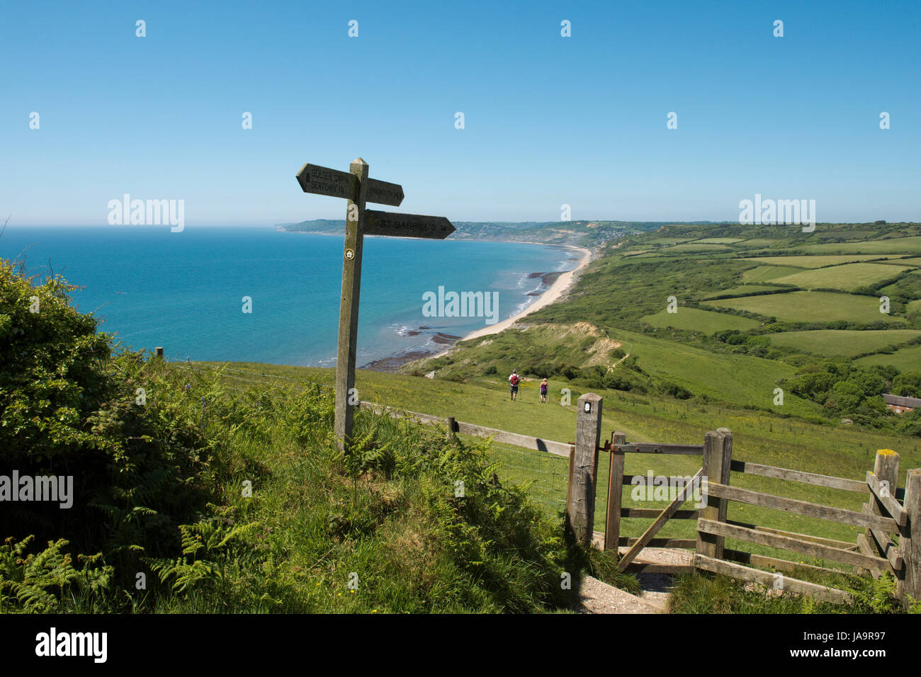 View from Golden Cap looking along the coast path and coastline of Lyme Bay at Charmouth on an early summer day in May Stock Photo