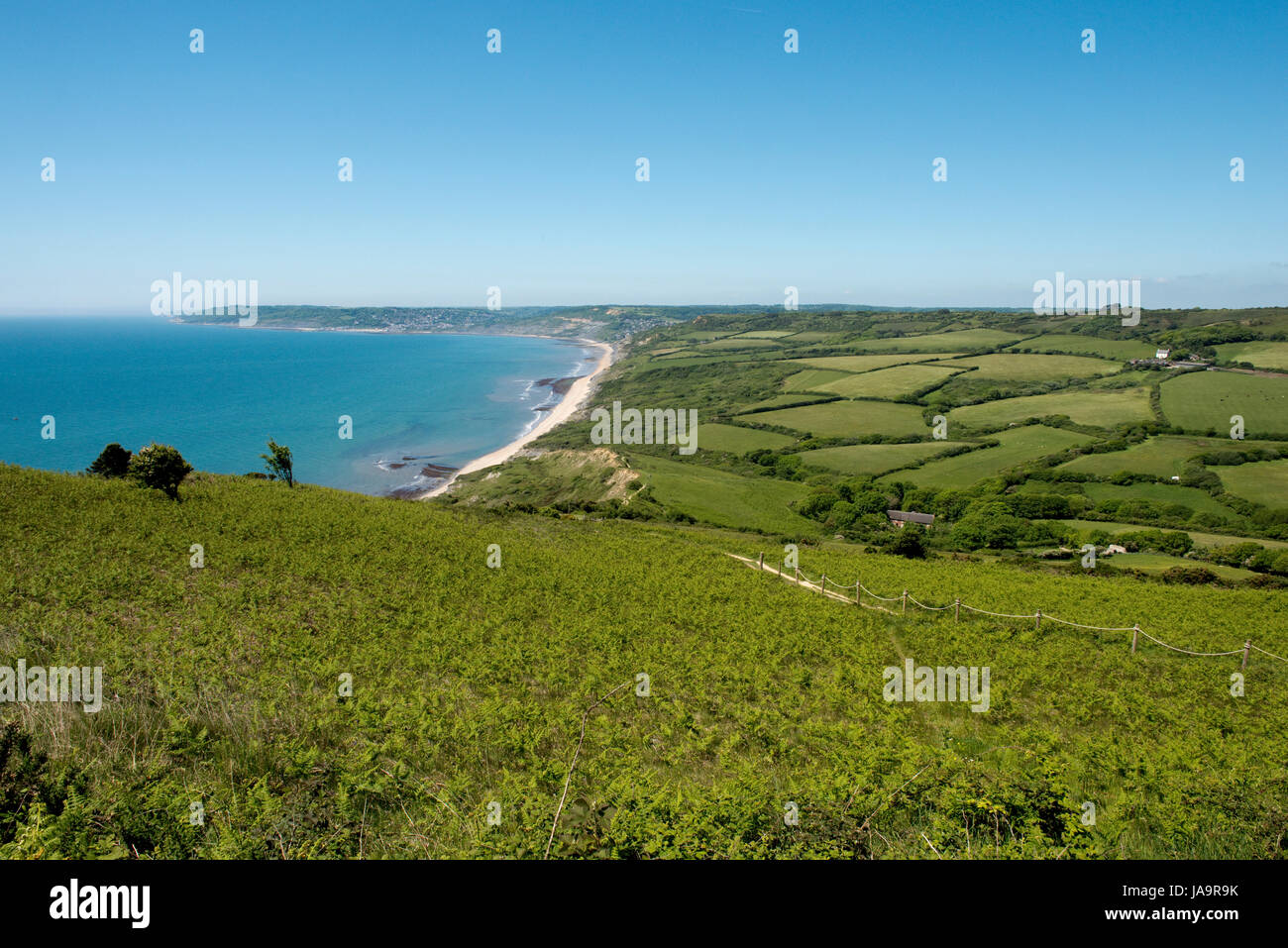 View from Golden Cap looking back to Stonebarrow Hill and the coastline of Lyme Bay at Charmouth on an early summer day in May Stock Photo