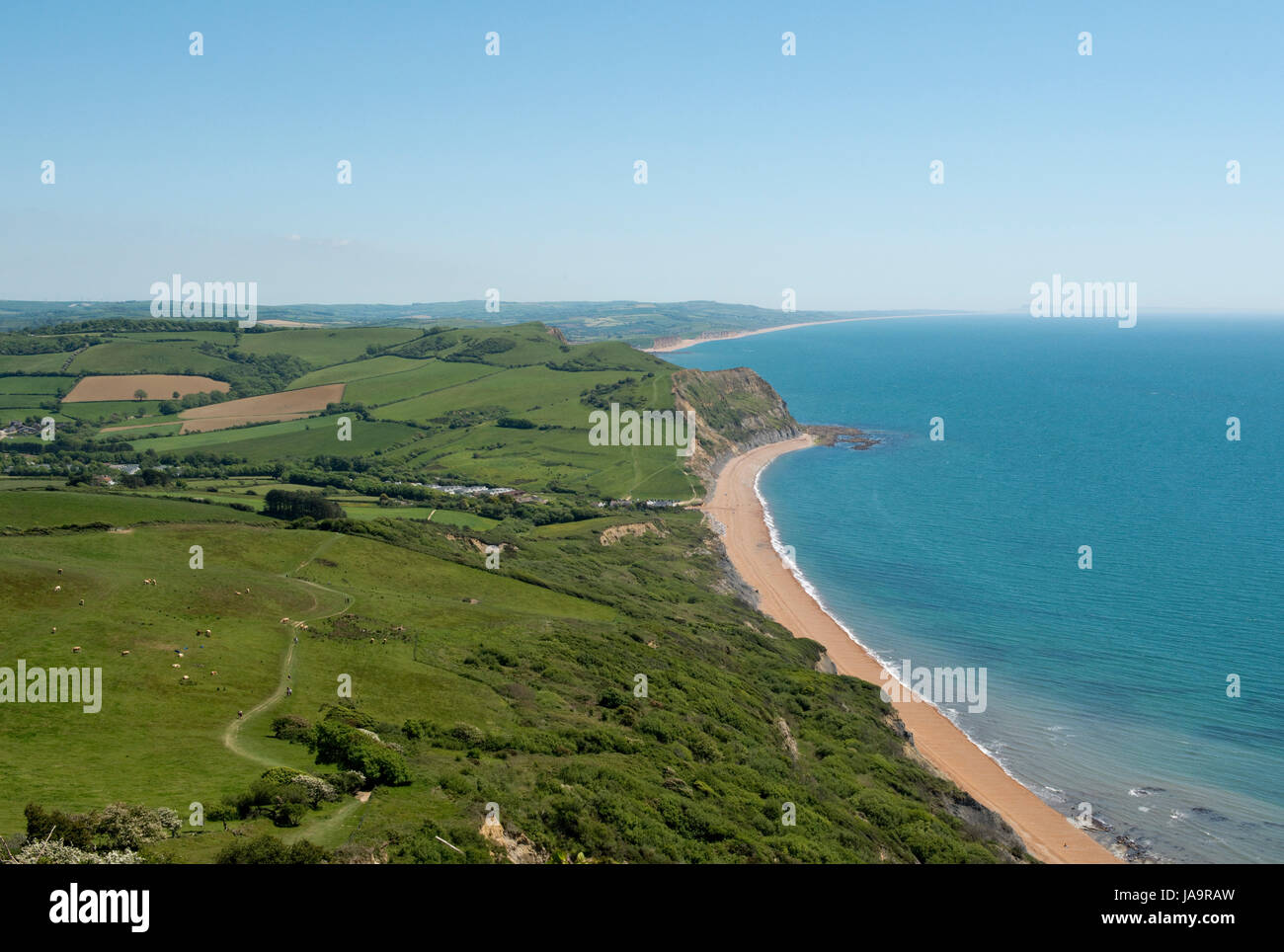 View from the top of Golden Cap, the highest peak on the south coast, looking east along the Jurassic Coast passed Seaton to West Bay, Dorset, May Stock Photo