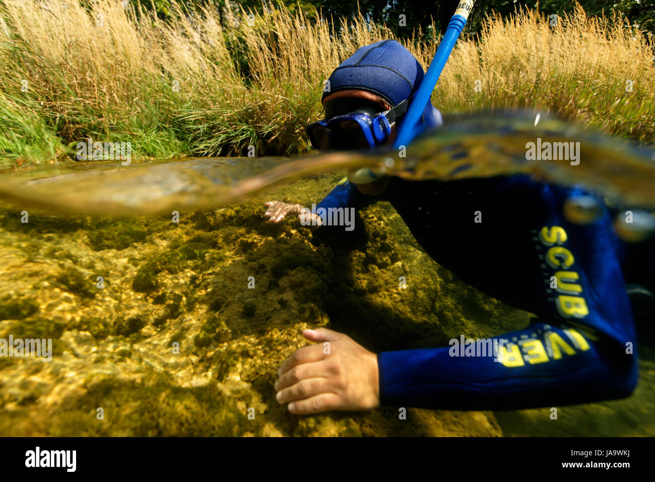 Diving on the Krupa River Stock Photo