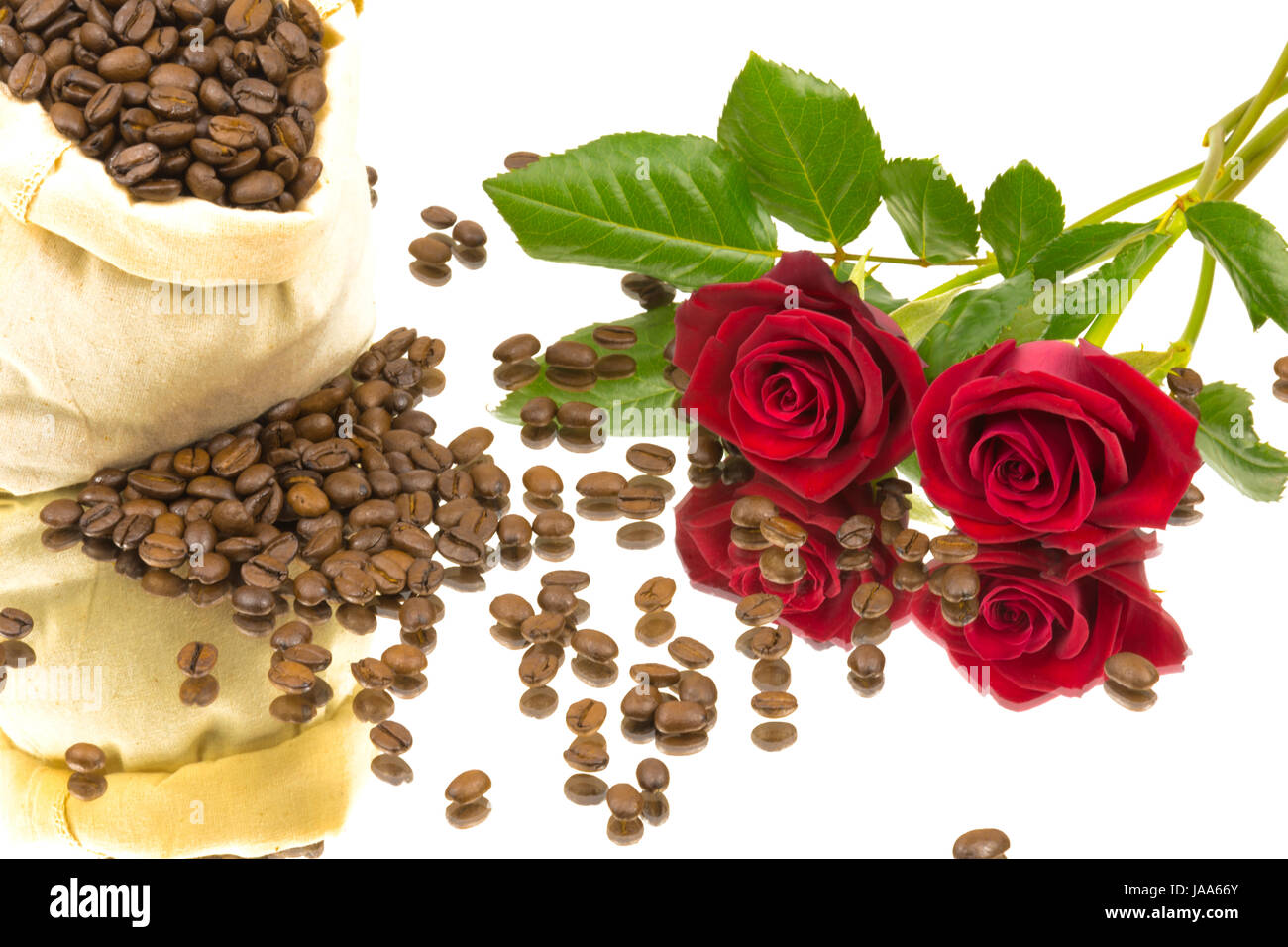 still life, coffee, coffee bean, isolated, flower, plant, rose, freshness, Stock Photo