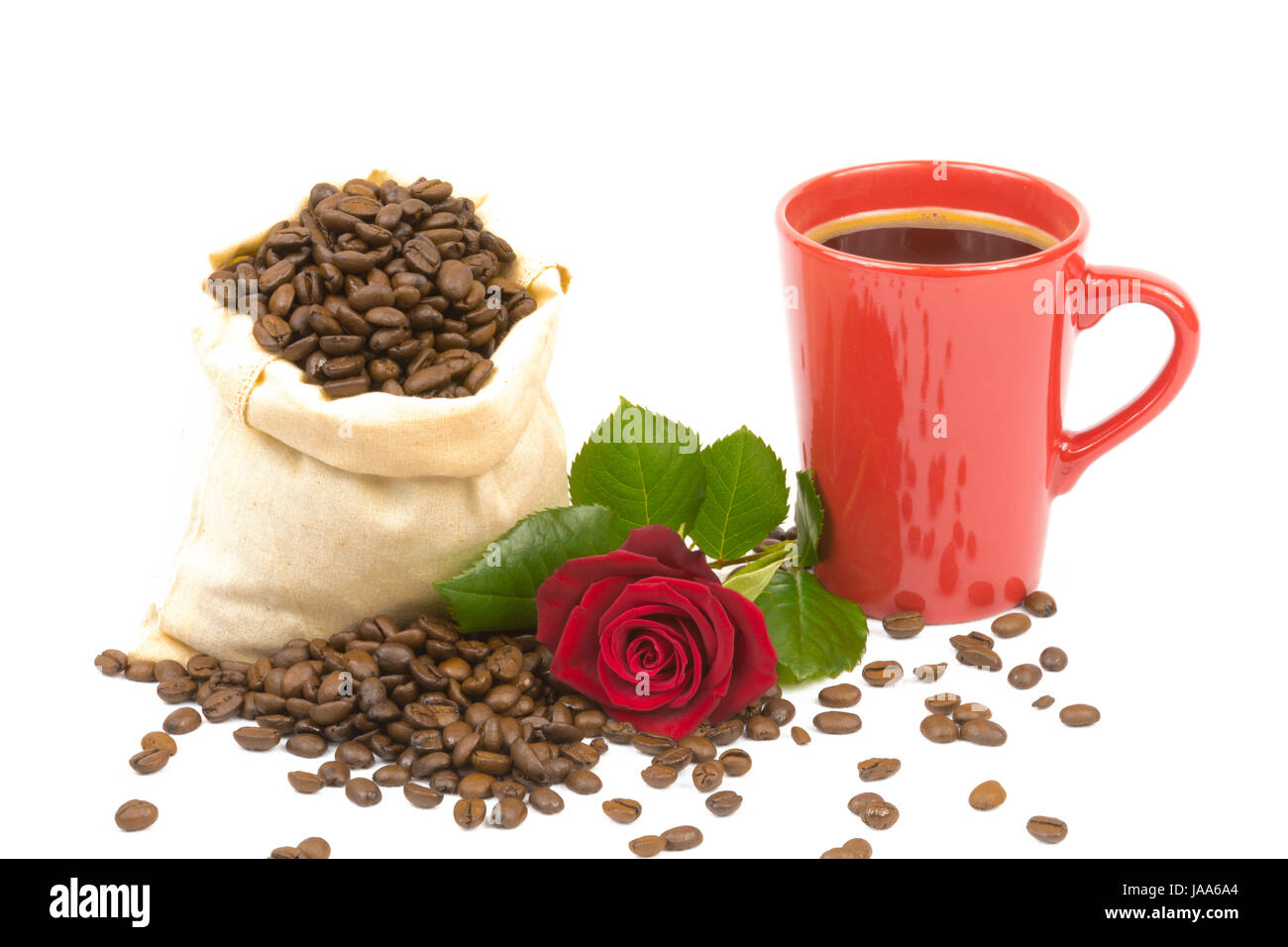 cup, still life, coffee, coffee bean, isolated, flower, plant, rose, freshness, Stock Photo