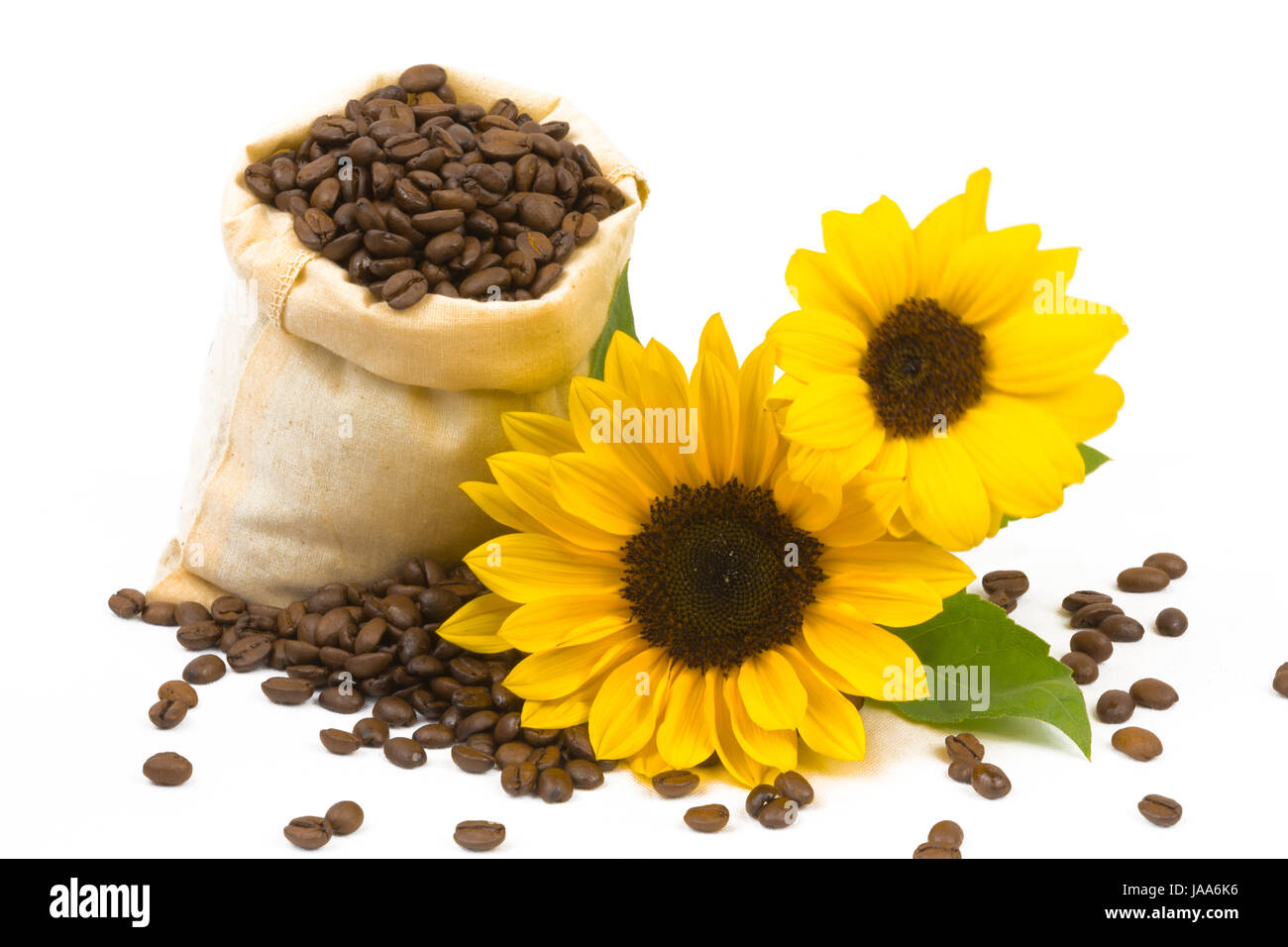 coffee beans sunflower Stock Photo