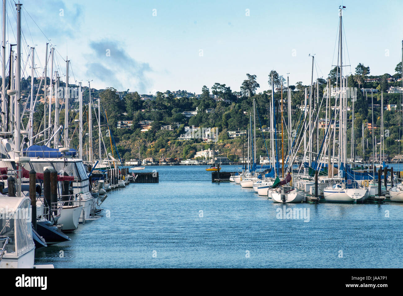 Sail boats docked in Sausalito, California. Sausalito is located just