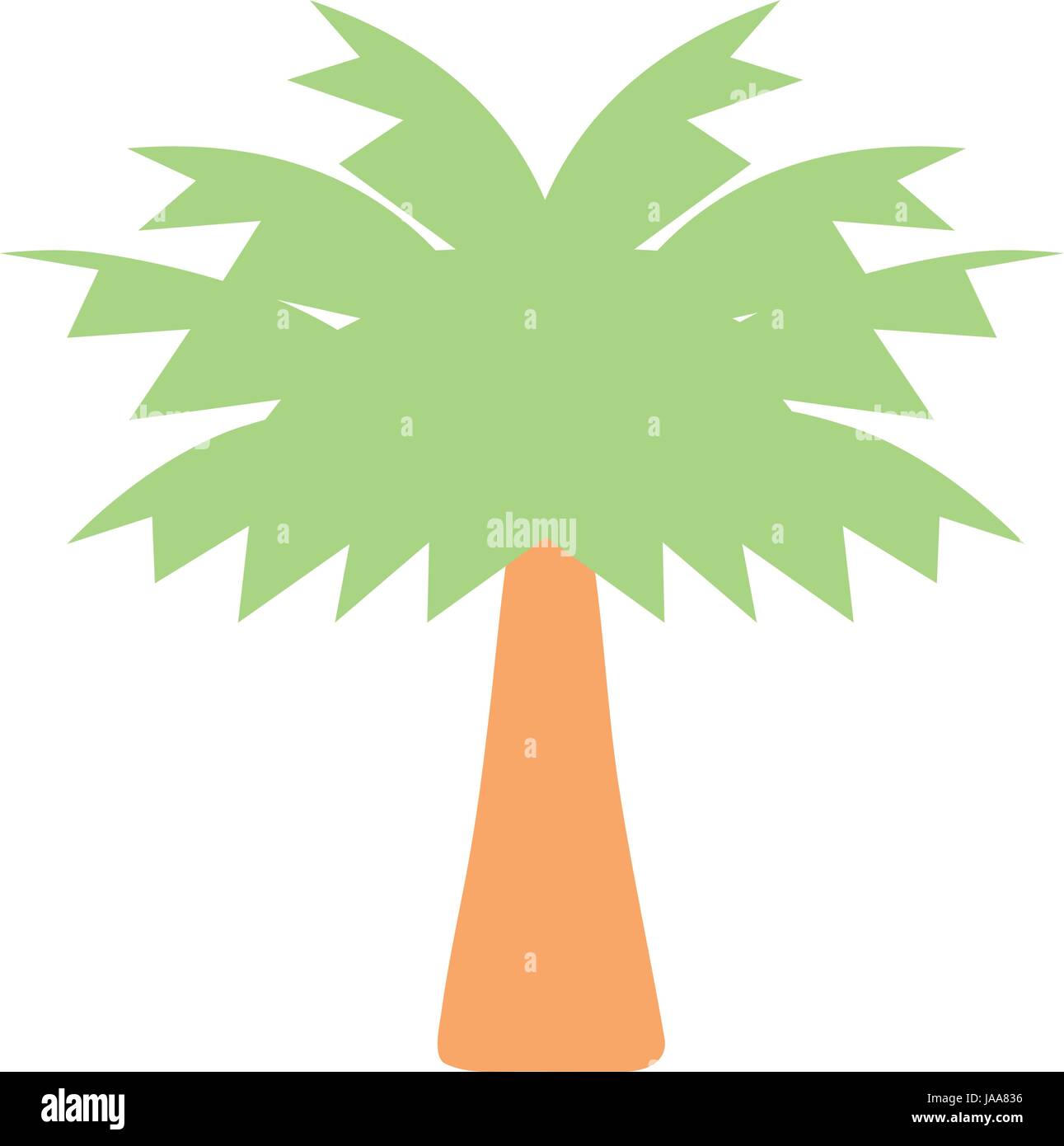 palm tree with leaves and vegetation Stock Vector
