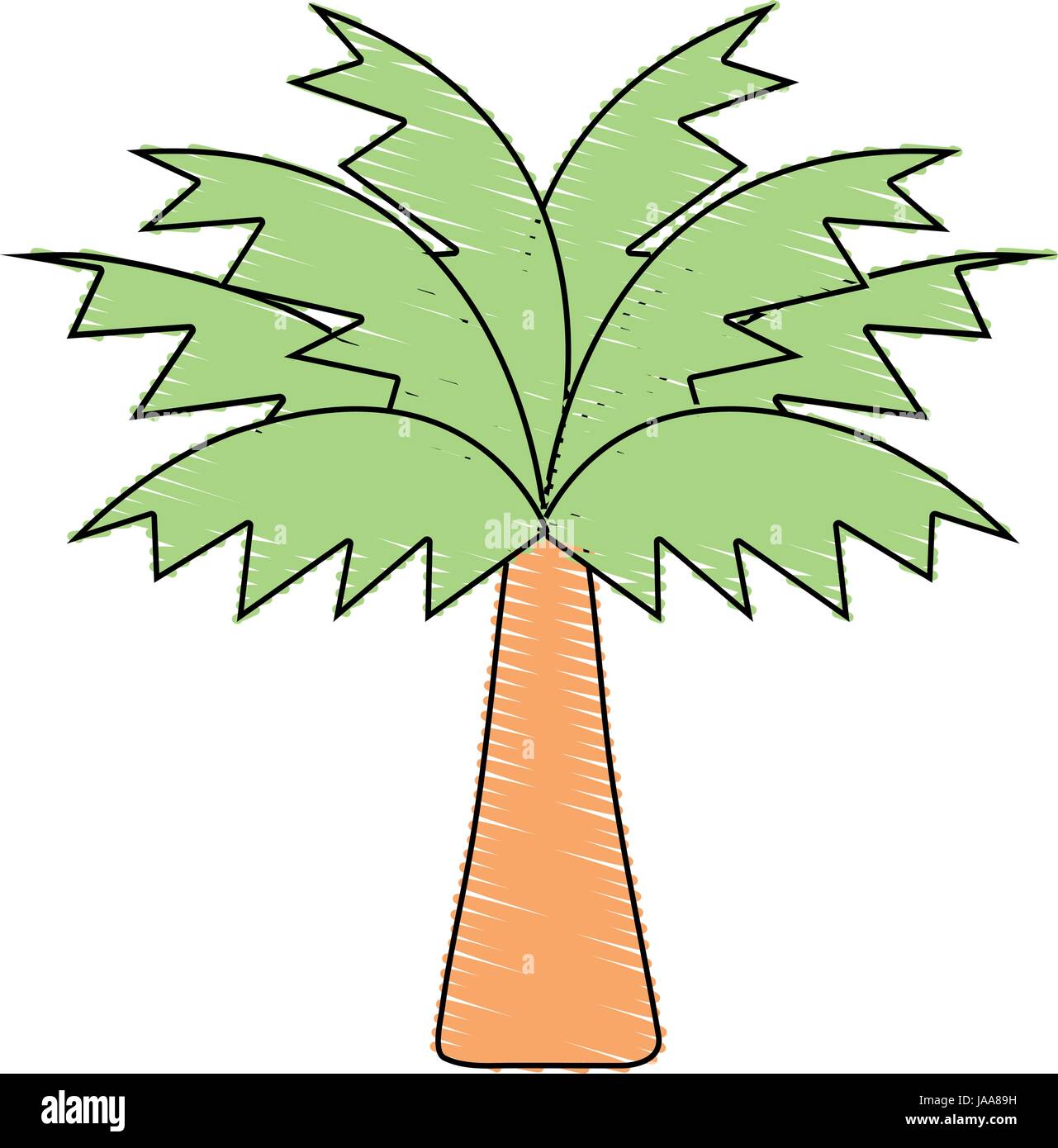 palm tree with leaves and vegetation Stock Vector
