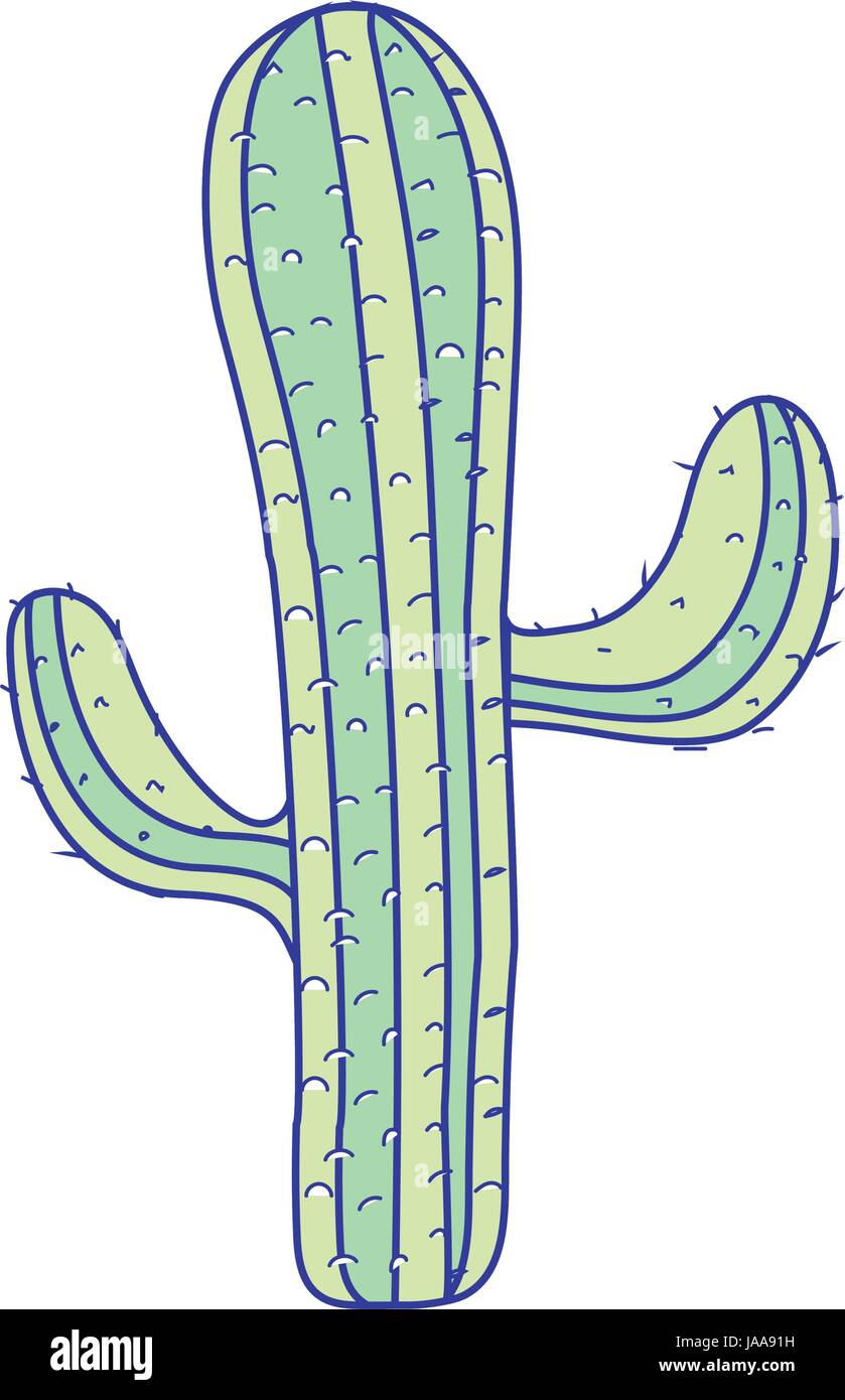 beautiful cactus plant of desert Stock Vector Image & Art - Alamy