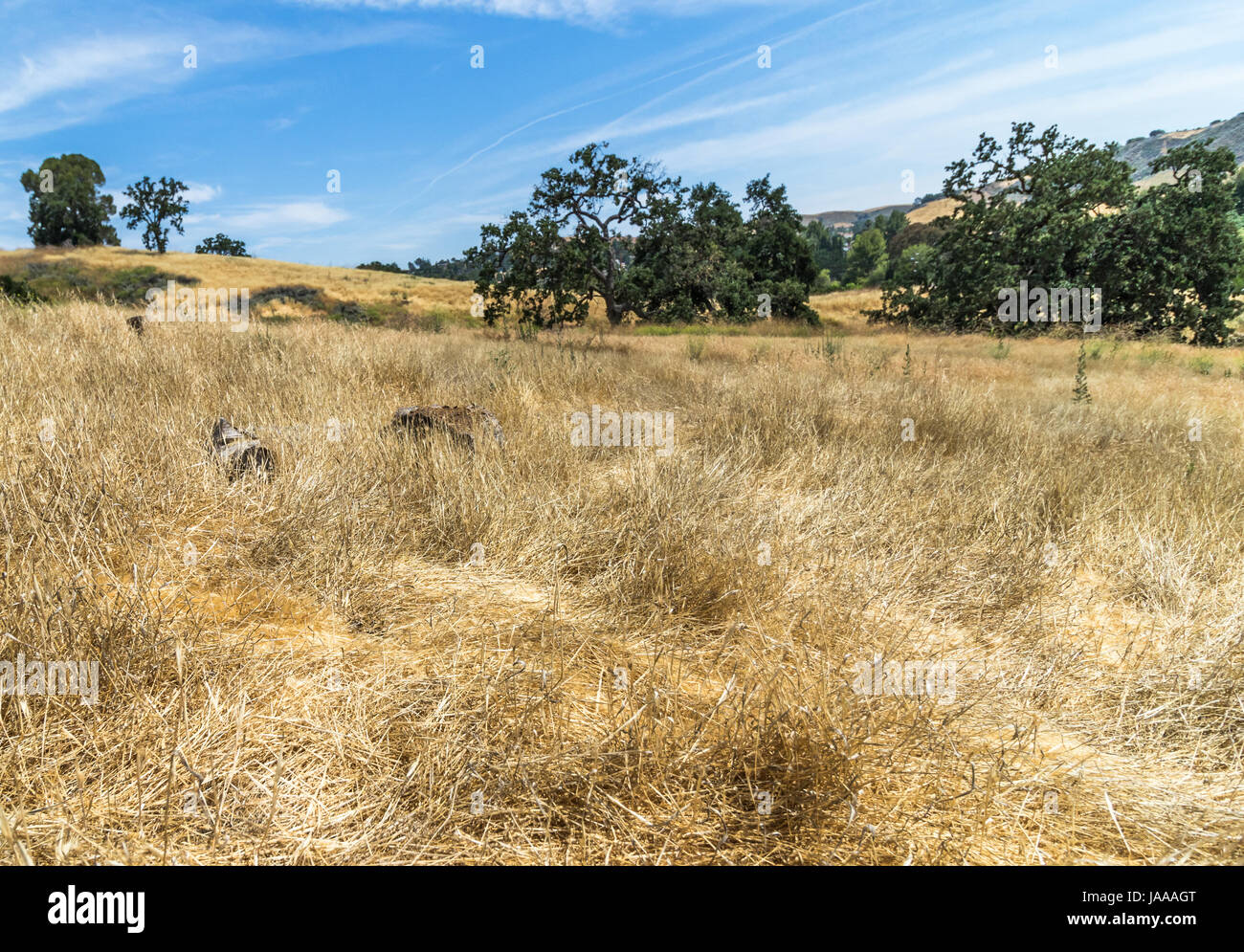 Grass sky landscape hi-res stock photography and images - Alamy
