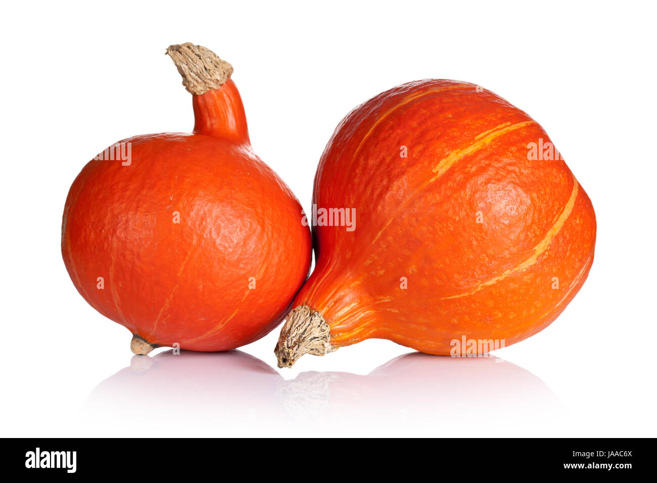 Hokkaido pumpkins on white background. Fresh and ripe Stock Photo - Alamy