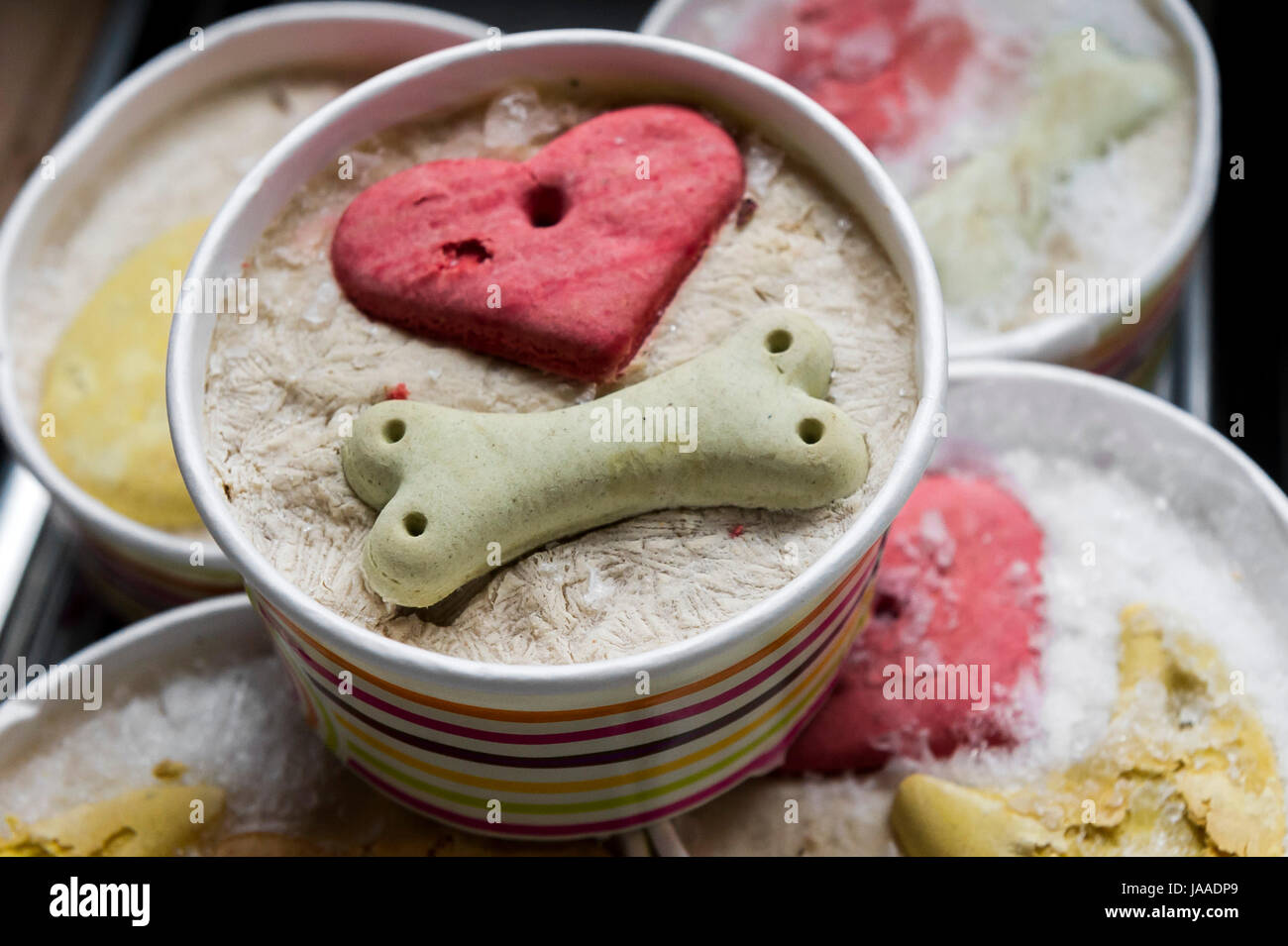 Tubs of hand made ice cream for dogs. Stock Photo