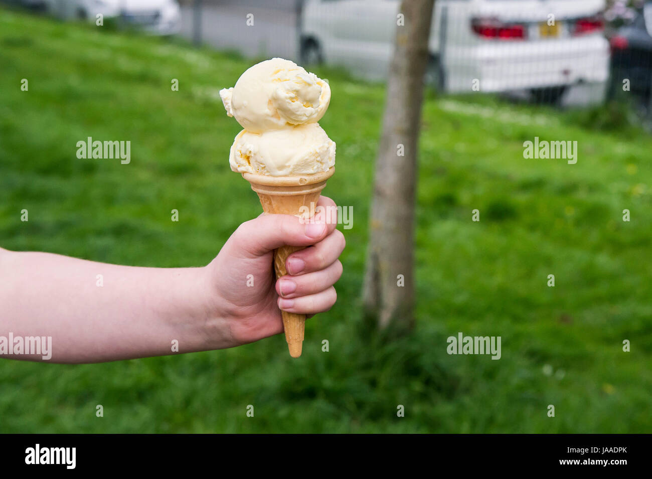 A child holding an ice cream cone; Hand; Child; Treat; Vanilla ice cream; Ice cream cone; Cornet; Double scoop; Refreshing; Refreshment; Stock Photo