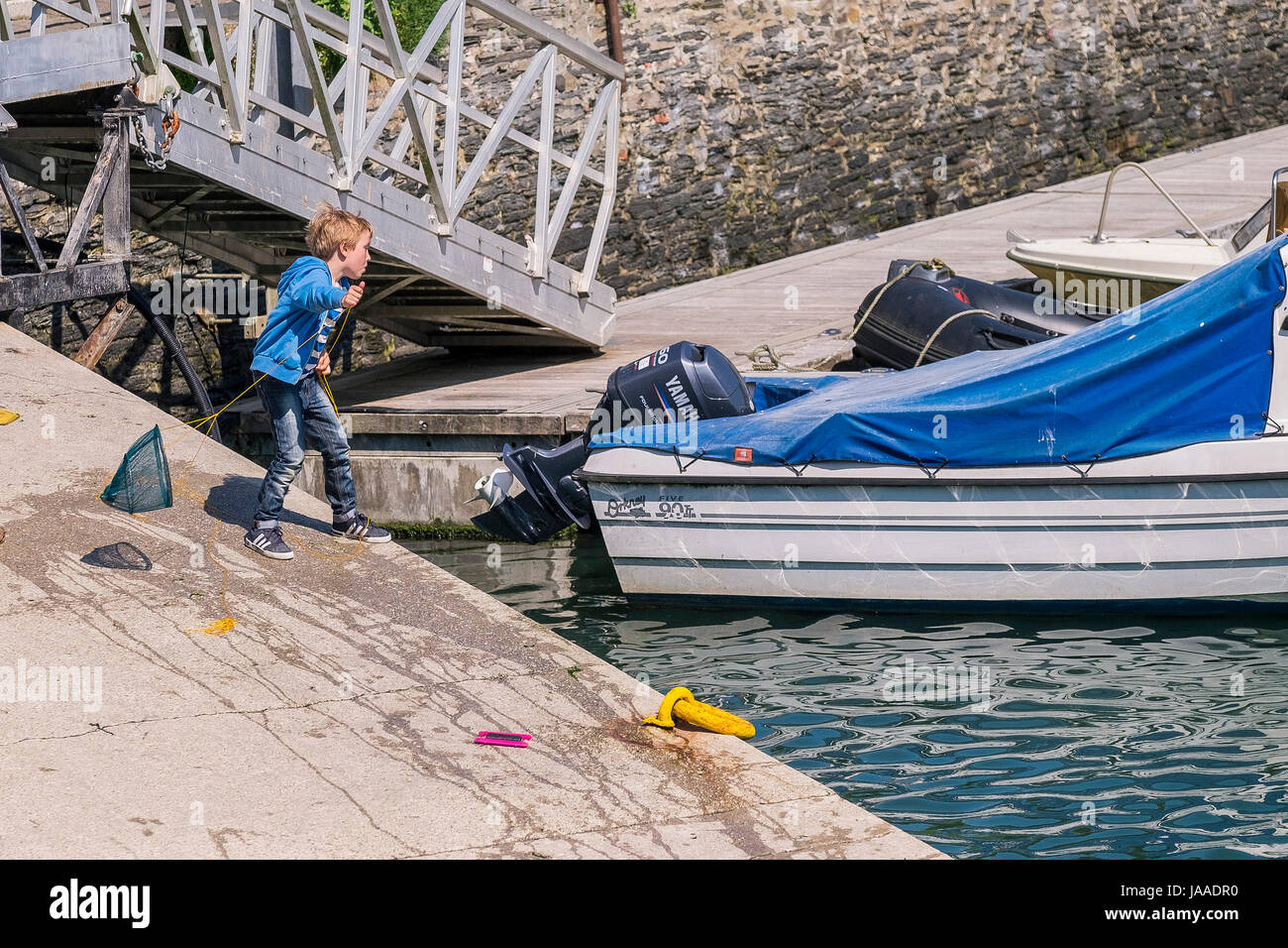 A young boy crabbing in Padstow harbour, Cornwall Stock Photo Alamy