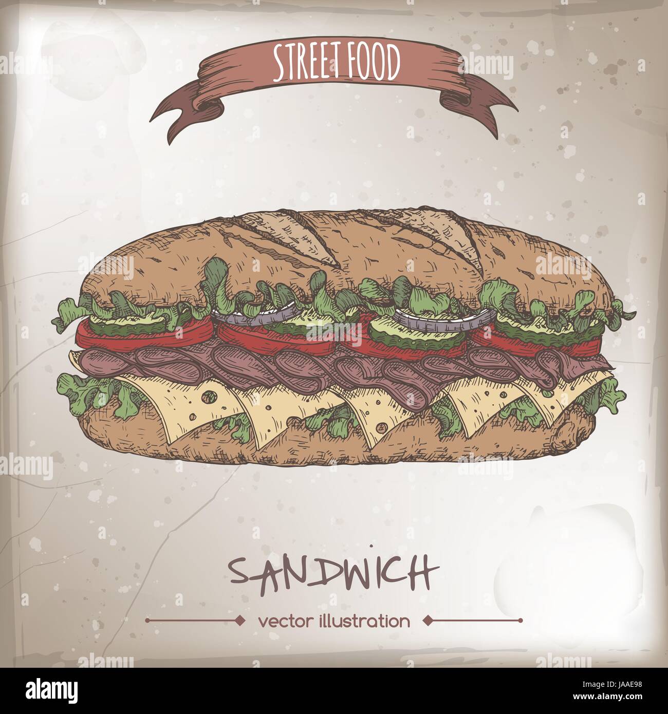 Sandwich color sketch on grunge background. Stock Vector