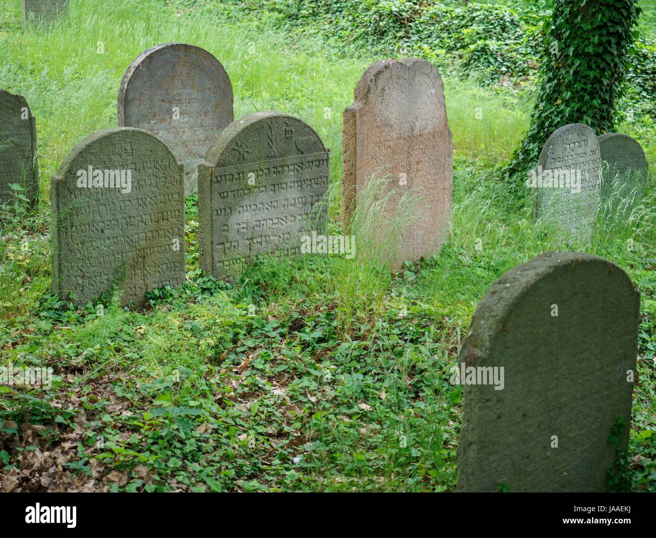 Jewish Cemetery, Gravestone, Grass, Tree Stock Photo