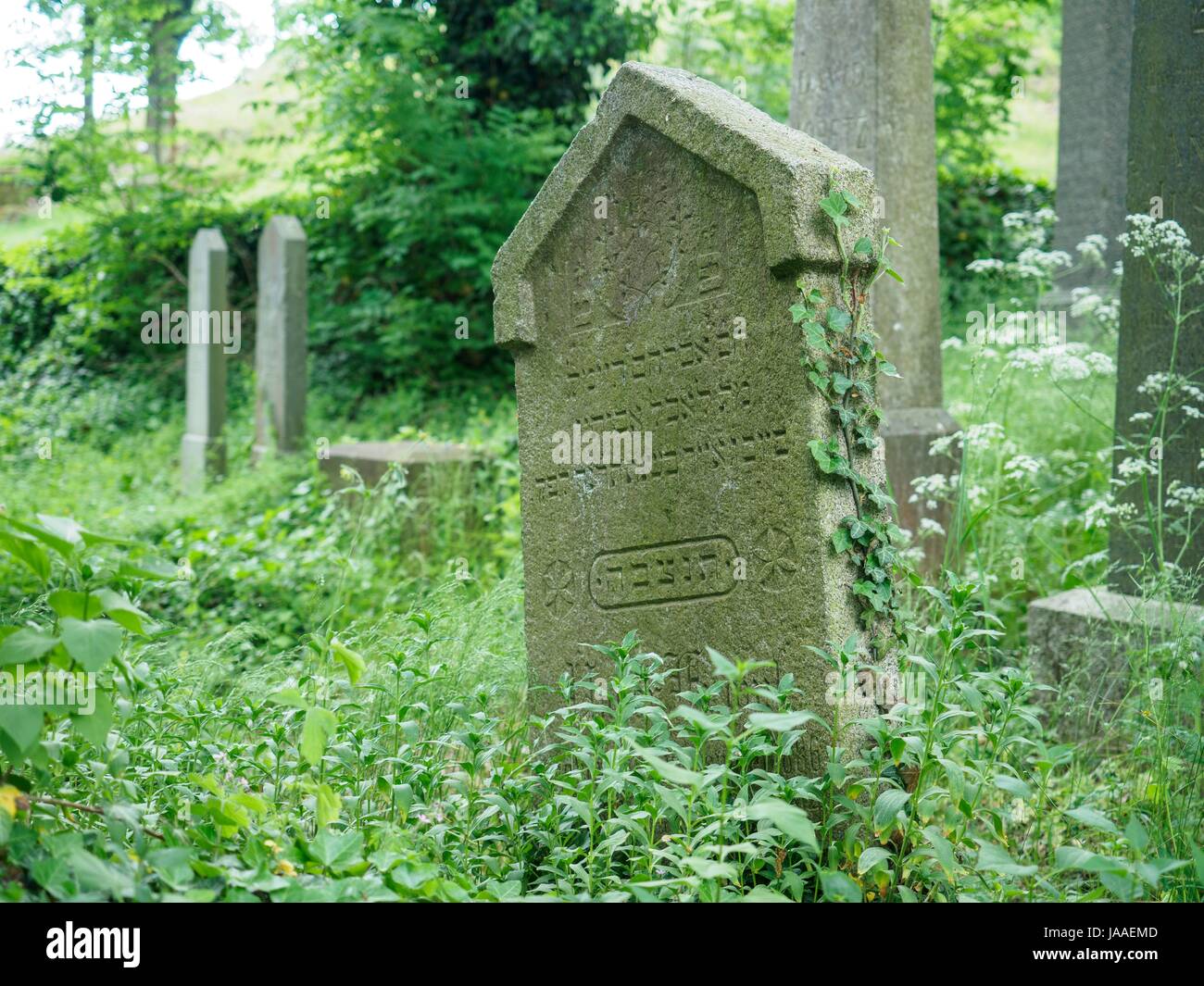 Jewish Cemetery, Gravestone, Grass, Tree Stock Photo
