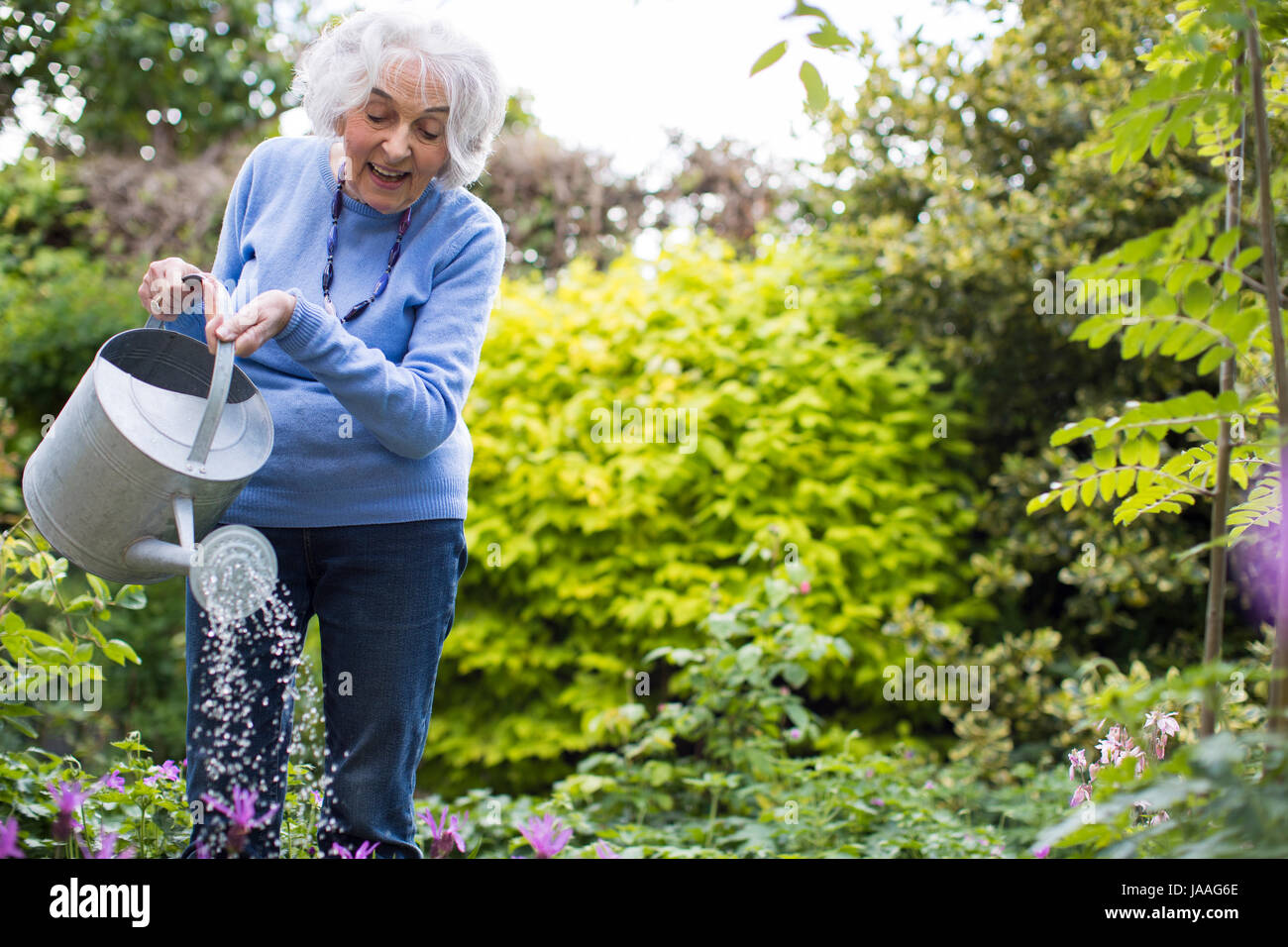 Senior Woman Watering Flowers In Garden Stock Photo Alamy