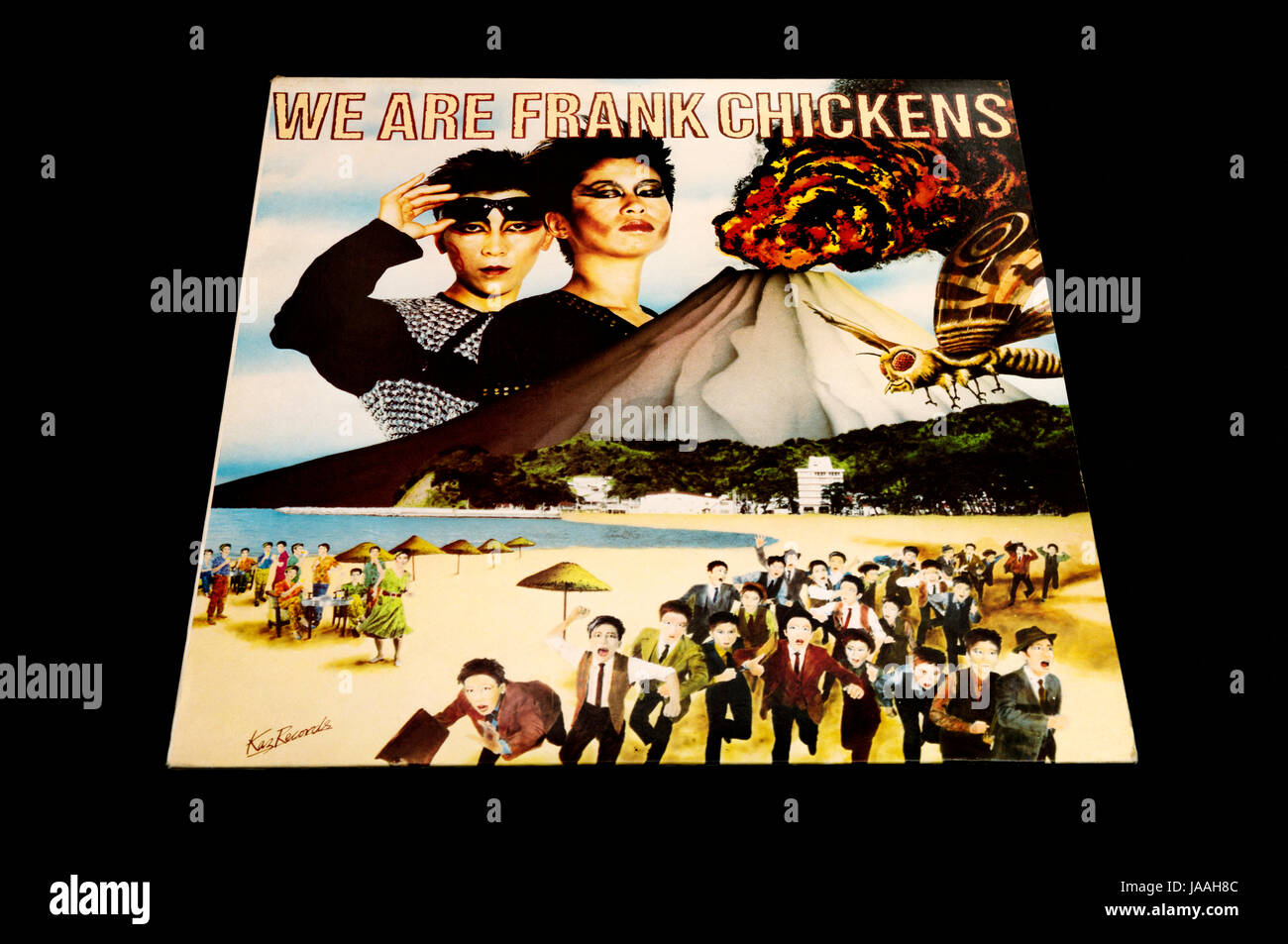 We Are Frank Chickens LP record Stock Photo