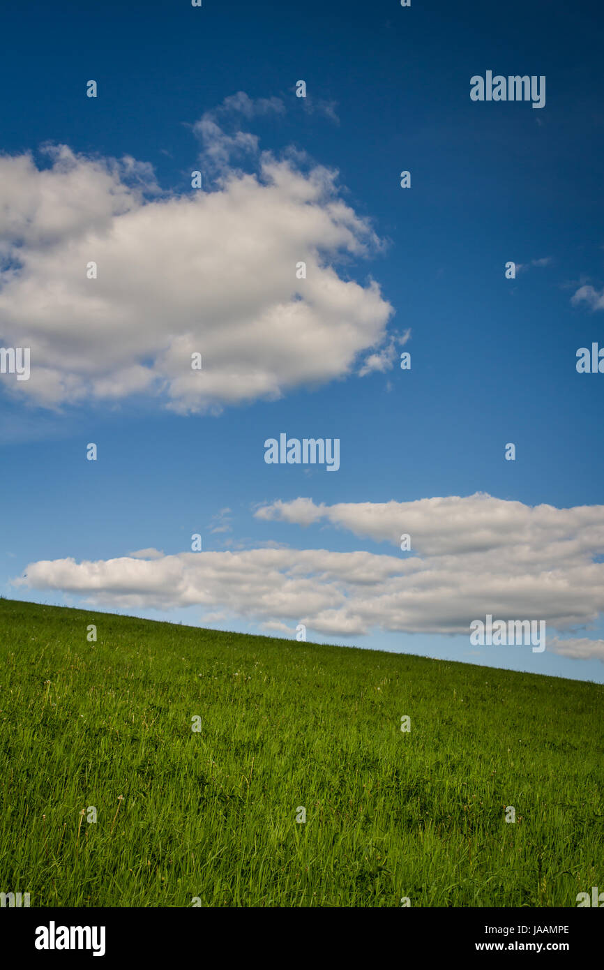 Blue Sky and white Fluffy Clouds Above a Green Hillside Landscape Stock Photo