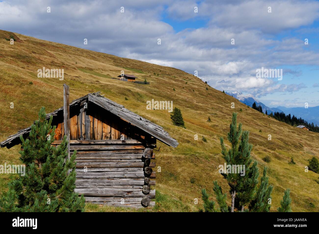 pastures in tirol Stock Photo - Alamy