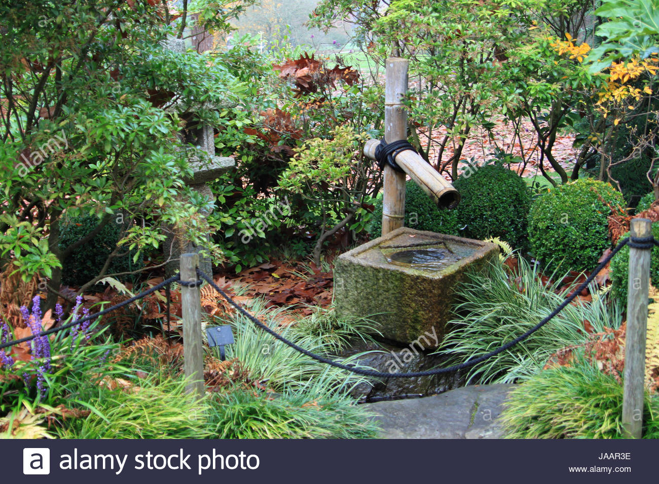 Japanese Garden With Bamboo Fountain Water And Plants Japanese Garden With Bamboo Fountain Water And Plants