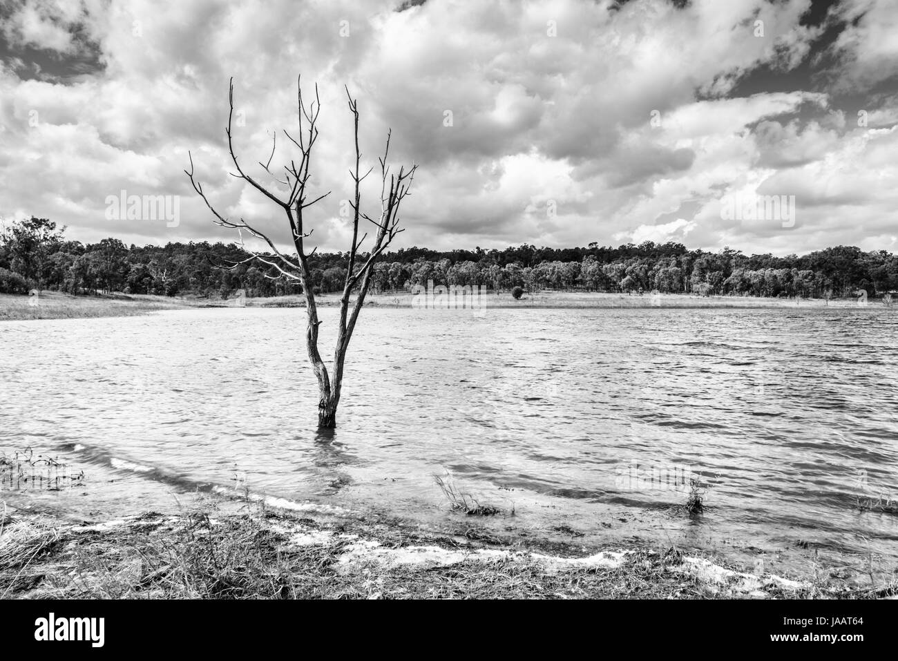 Lake Wivenhoe, QLD Stock Photo