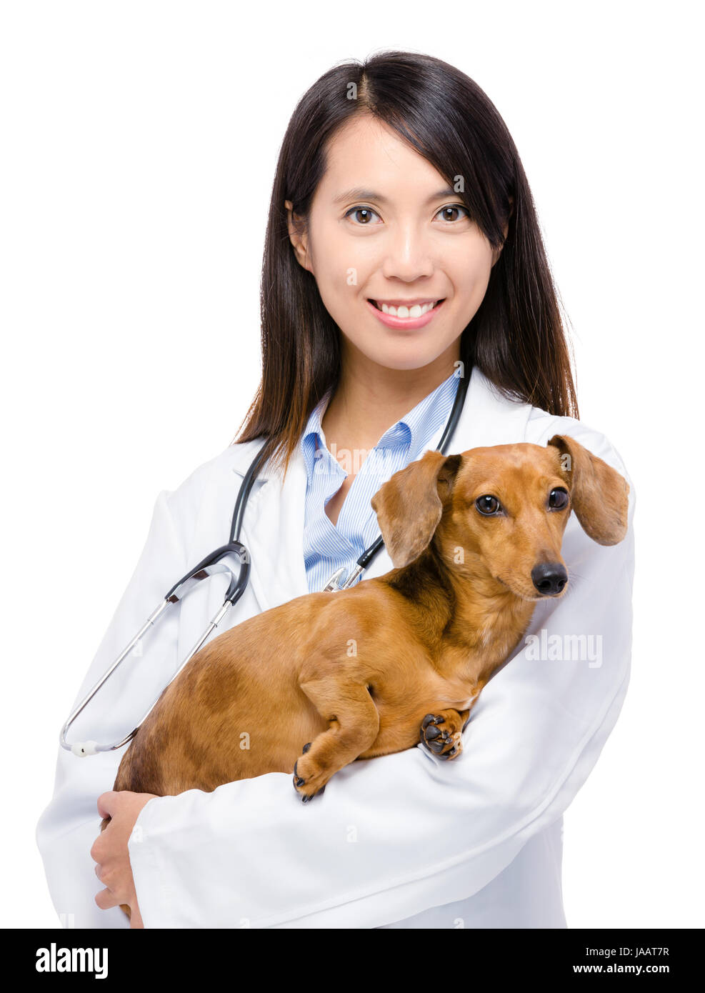 Female veterinarian with dachshund dog Stock Photo - Alamy