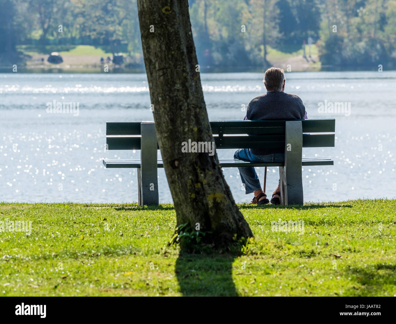 On a park-bench with a lake there sits lonely an older man., Auf einer Parkbank bei einem See sitzt einsam ein älterer Mann. Stock Photo