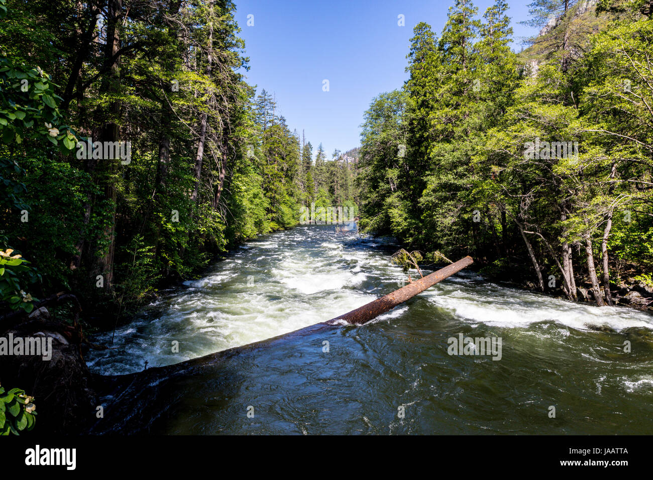 The Merced river from Pahona Bridge in the Yosemite Valley at Yosemite National Park. Stock Photo