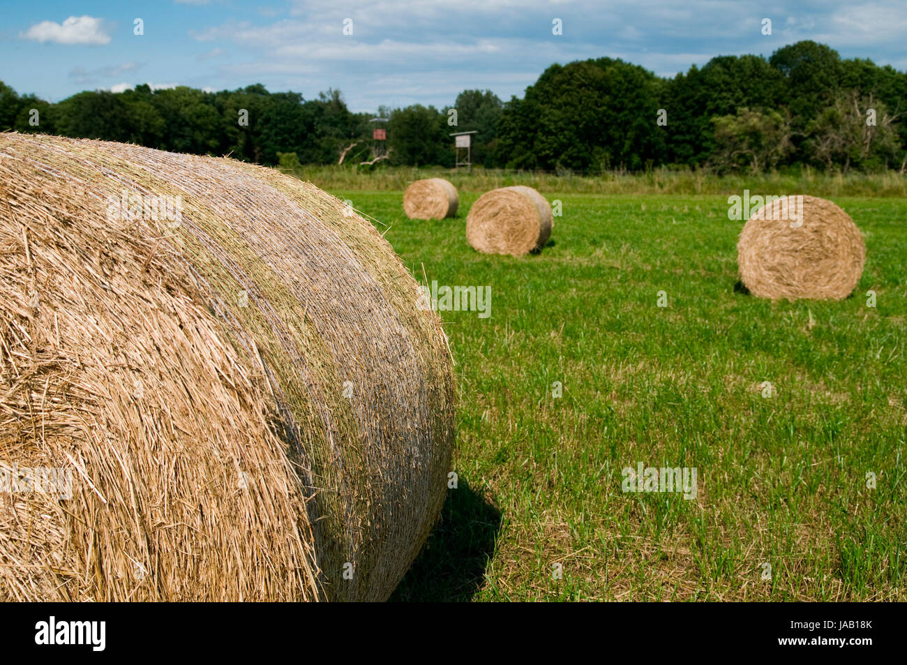 four straw rolls Stock Photo Alamy