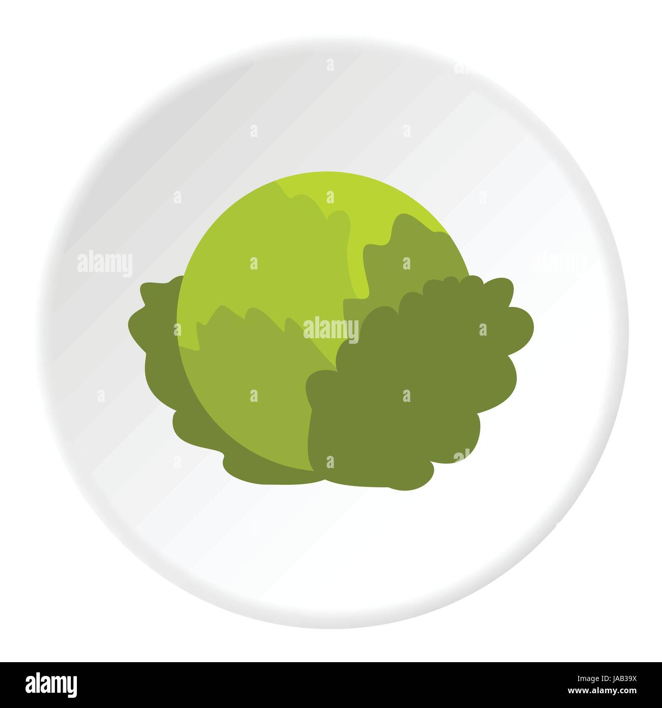 Cabbage icon. Flat illustration of cabbage vector icon for web Stock ...
