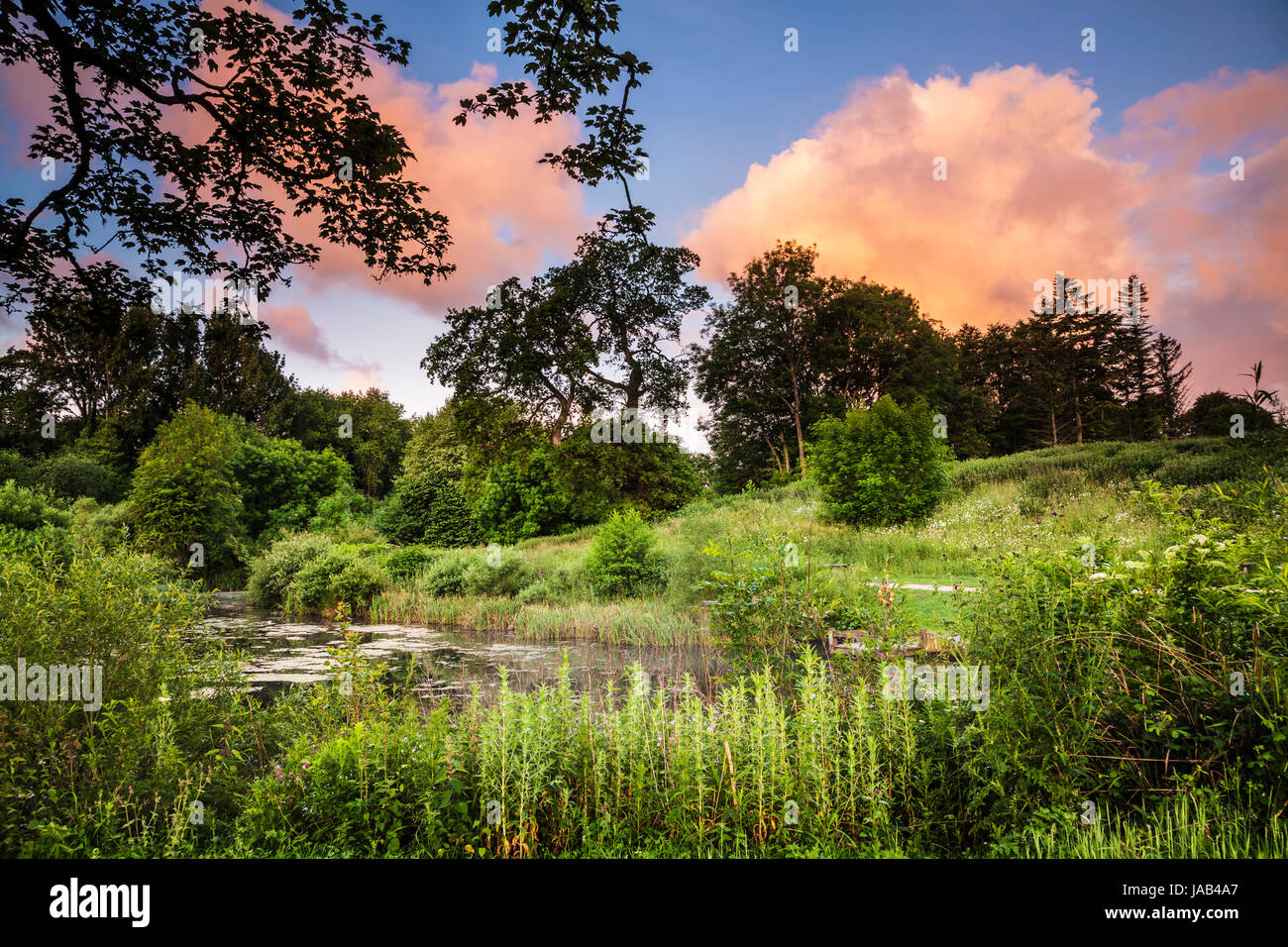 A colourful sunrise sky over the Old Pond at Lydiard Park in Swindon, Wiltshire. Stock Photo