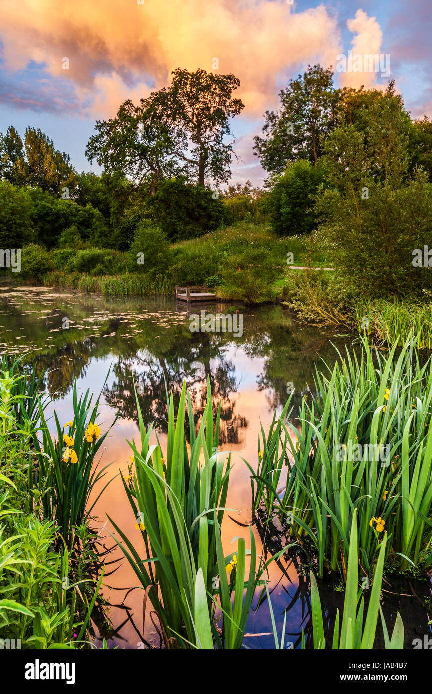 A colourful sunrise sky over the Old Pond at Lydiard Park in Swindon, Wiltshire. Stock Photo