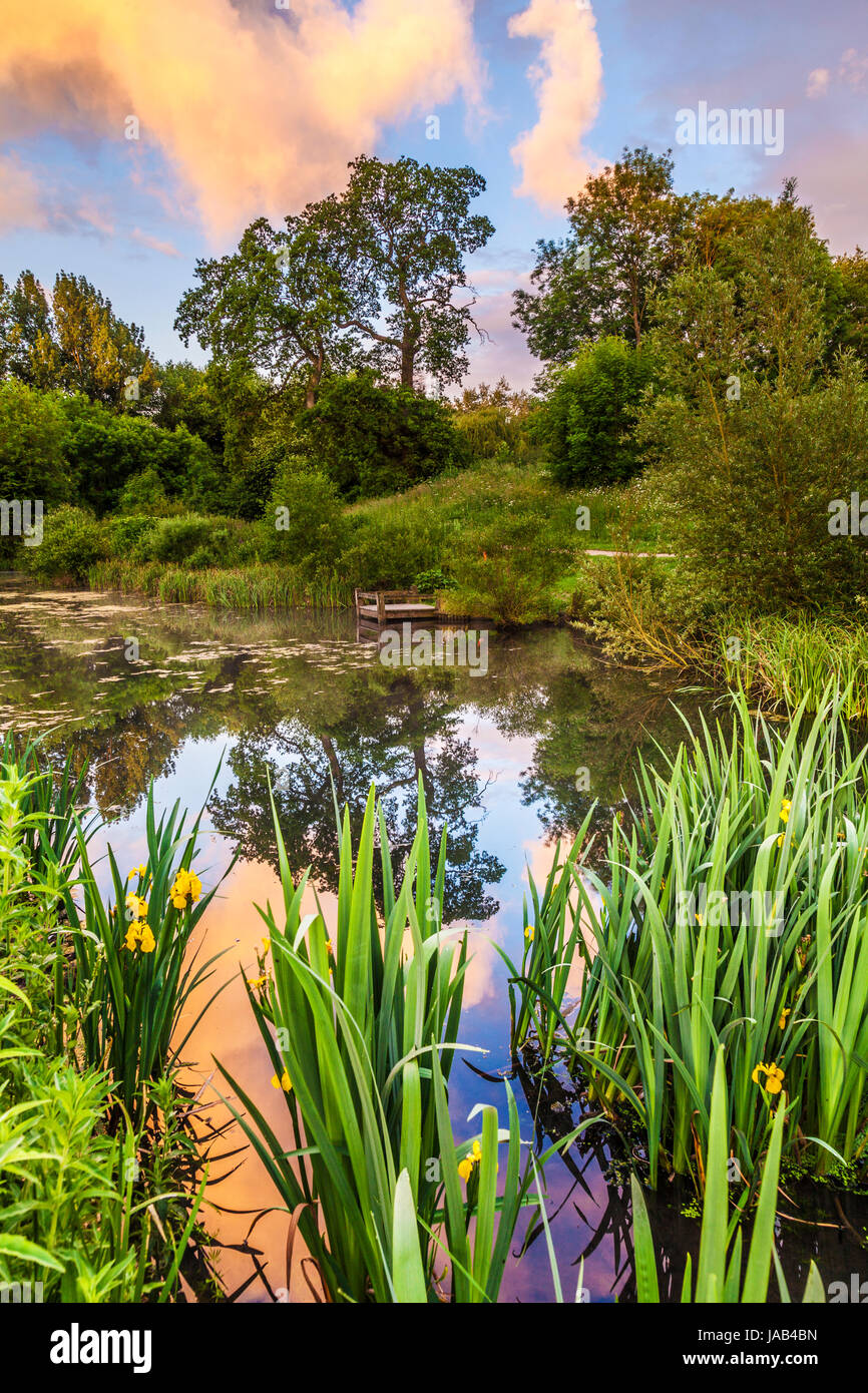 Restored pond hi-res stock photography and images - Alamy