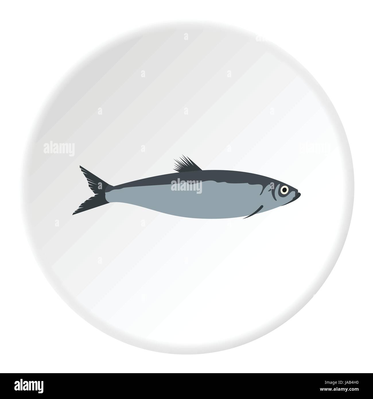 Herring Fish Drawing High Resolution Stock Photography and Images Alamy