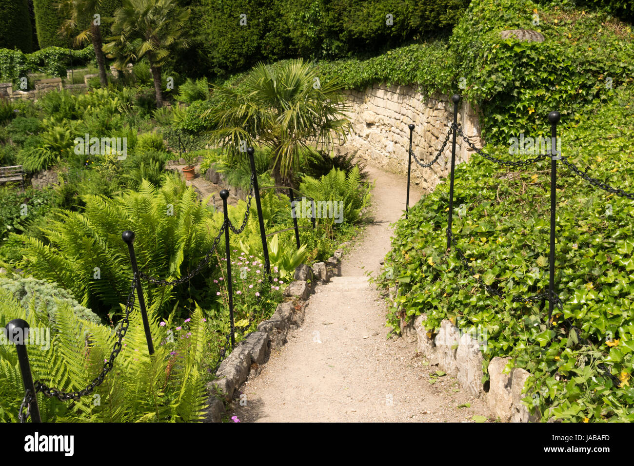 Winding path in fern garden Brodsworth Hall Stock Photo