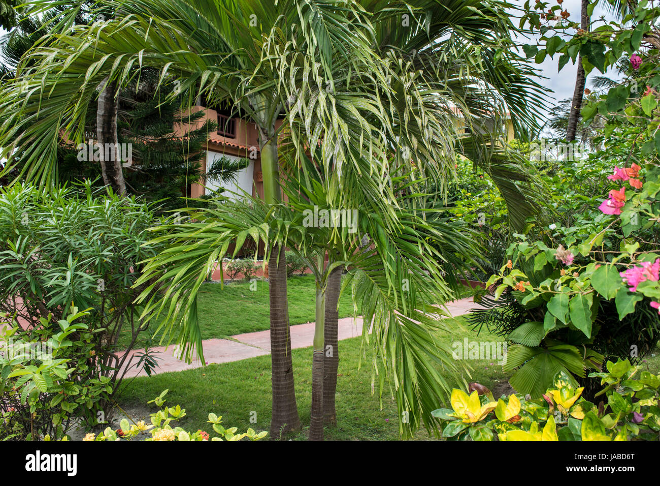 An exotic garden with flowers in Punta Cana Resort, Dominican Republic Stock Photo