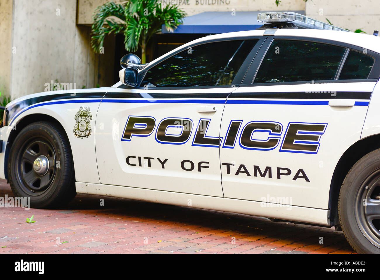 A detail of a white with blue stripes City of Tampa Police car