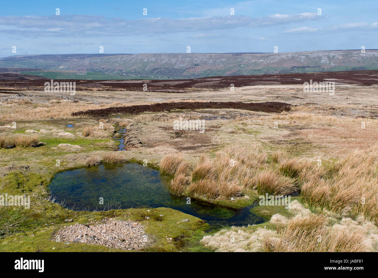 Uplands habitat on Grinton Moor in the Yorkshire Dales National Park ...