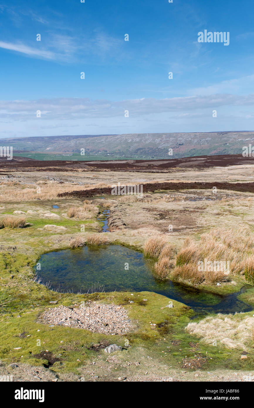 Uplands habitat on Grinton Moor in the Yorkshire Dales National Park ...