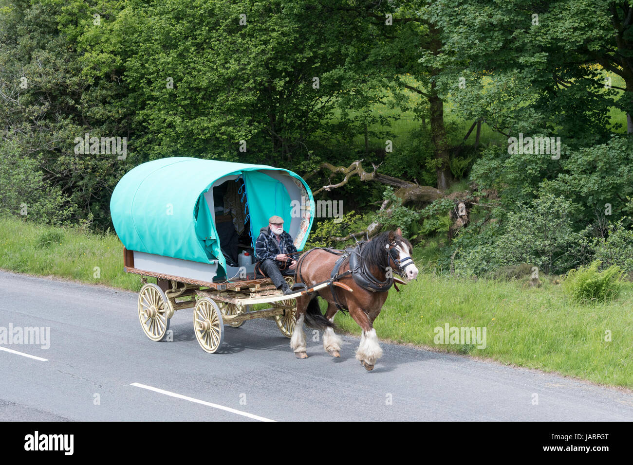Horse Drawn Romany Gypsy Caravan High Resolution Stock Photography and