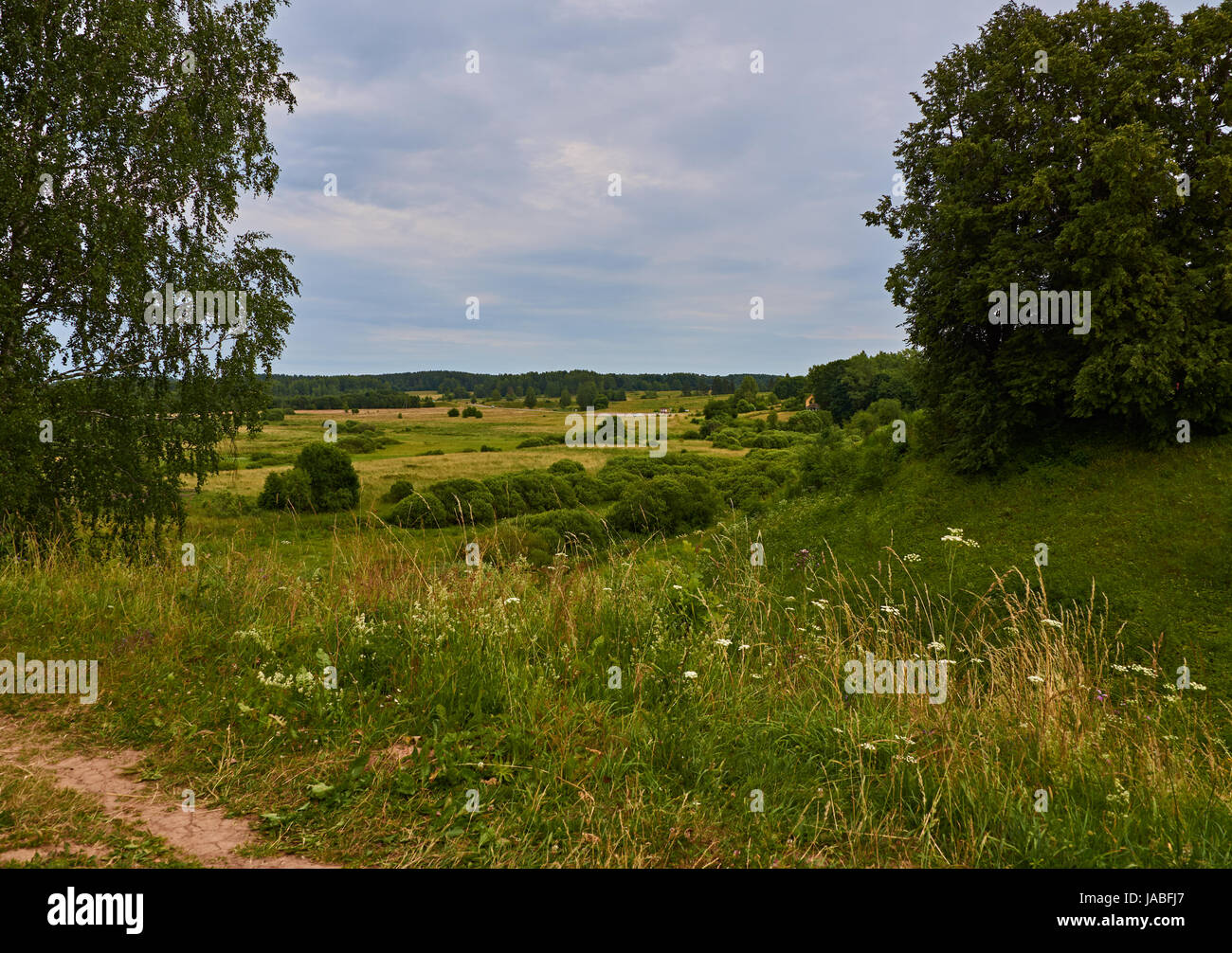 Russian provincial landscape. Summer, Pskov region, Russia, landscape, nature. Stock Photo