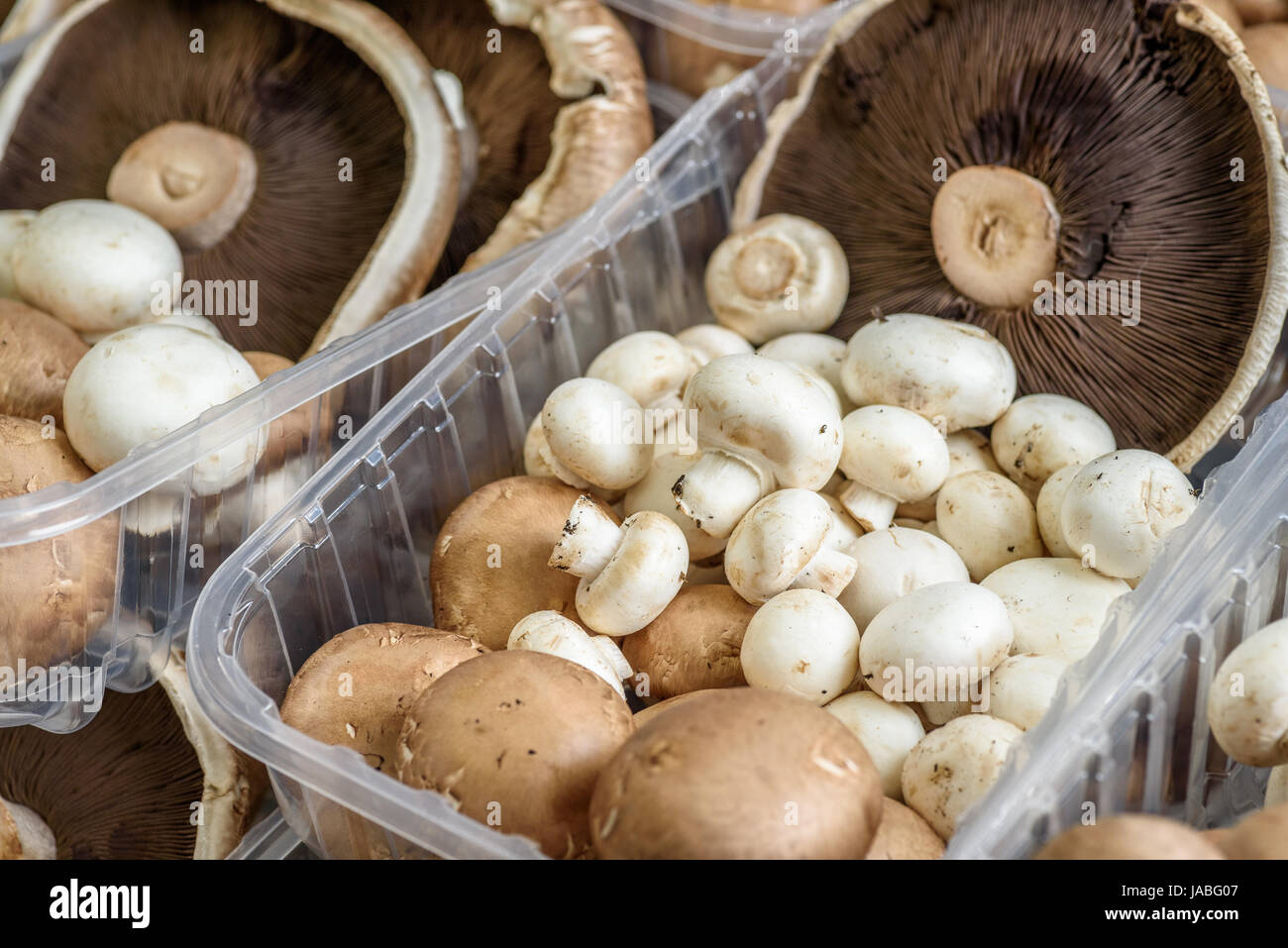 Prepacked mushrooms in a punnet covered with clear plastic