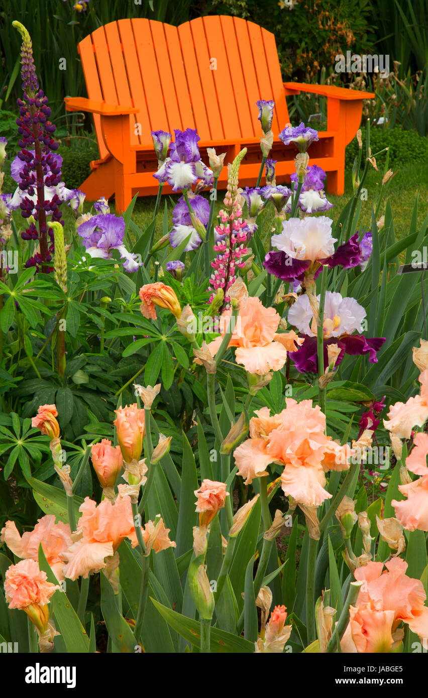 Display garden bench, Schreiners Iris Gardens, Keizer, Oregon Stock Photo