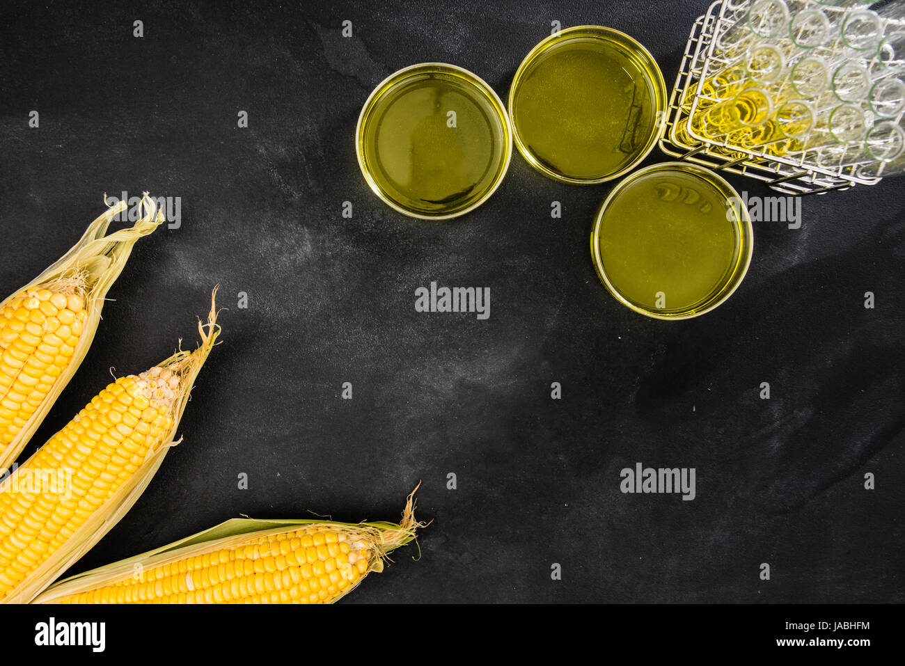 research on fresh sweet corn modified foods in the studio
