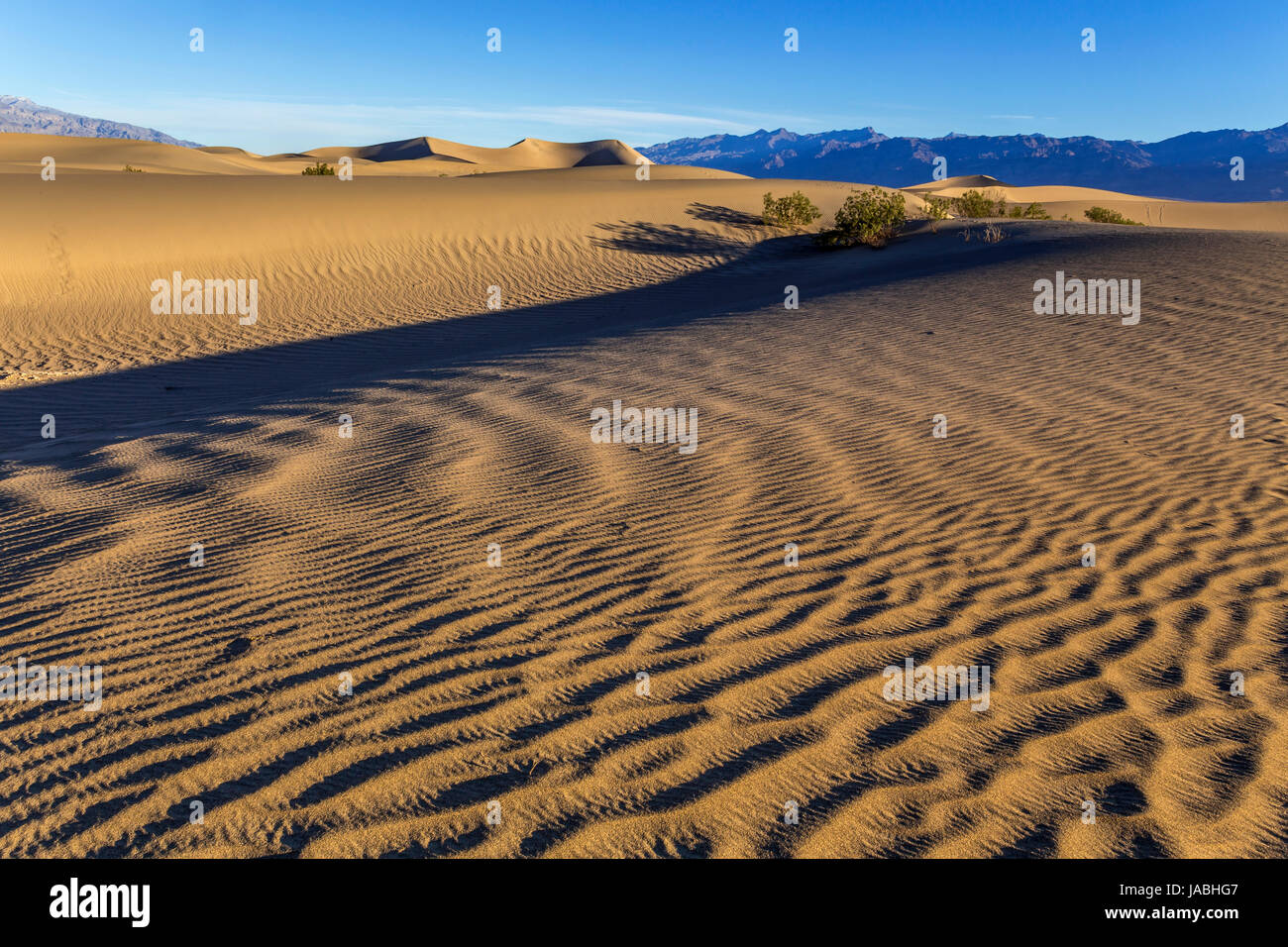 Sunrise Sand Dunes Mesquite Flat Sand Dunes Death Valley National 