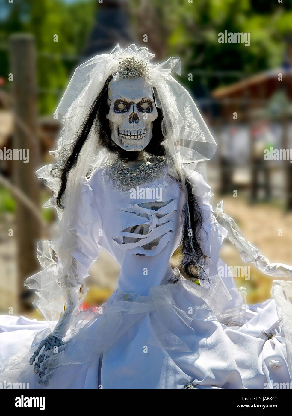 Skeleton in a white dress Stock Photo - Alamy Skeleton in a white dress Stock Photo - Alamy