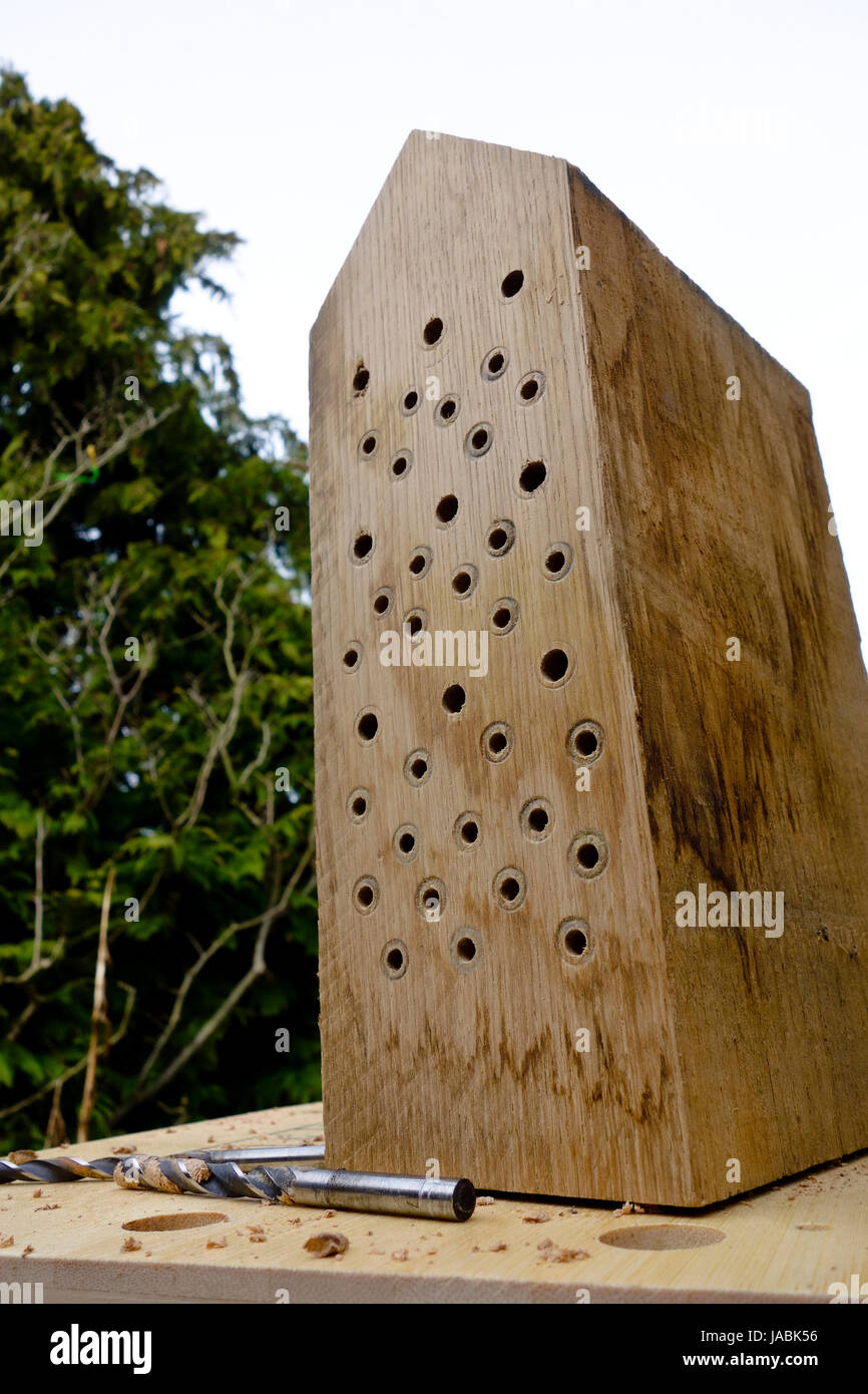 Making a solitary bee house by drilling holes of various sizes into a solid oak wood block Stock Photo