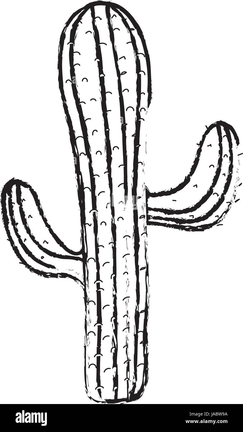 figure beautiful cactus plant of desert Stock Vector Image & Art - Alamy